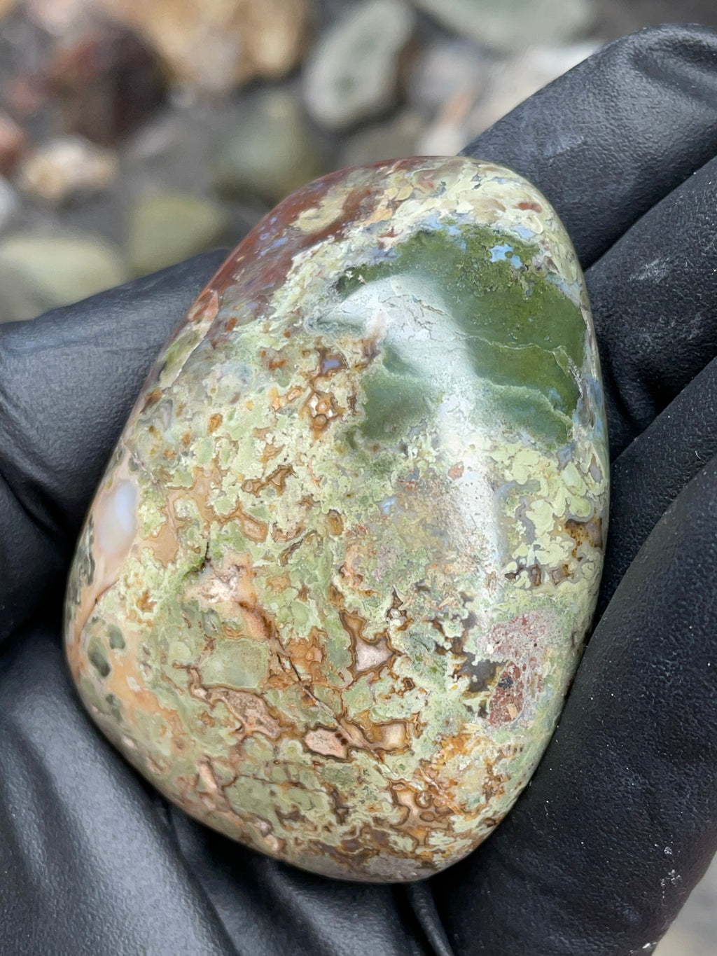 StoneBorn Creations Hand-Polished Multicolor Lace Agate with Natural Green and Rust Patterns – One-of-a-Kind Display Stone