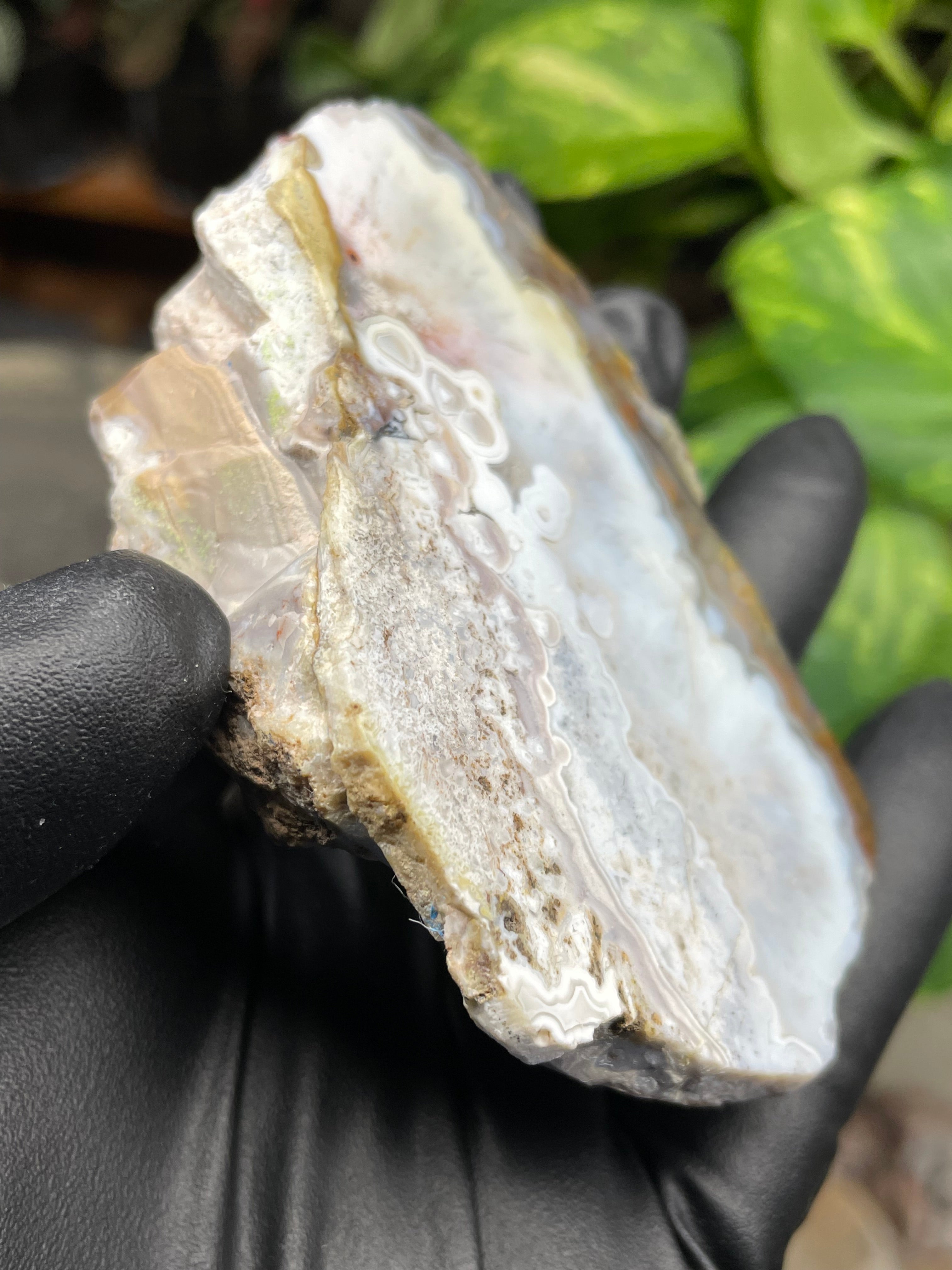 StoneBorn Creations Hand-Polished Agate Pair – Soft White Plume Details, Natural Banding & Raw Earthy Edges
