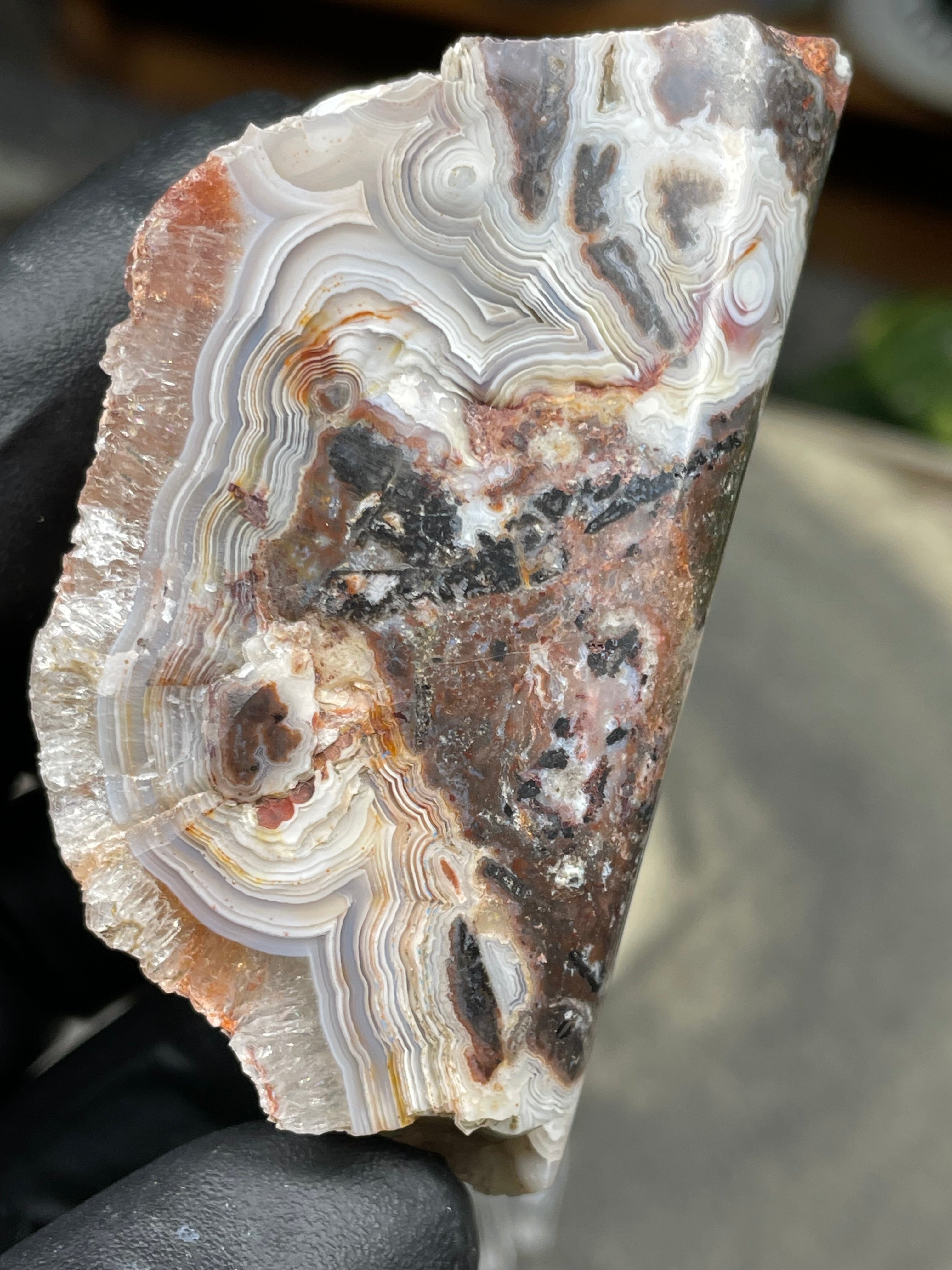 StoneBorn Creations Hand-Polished Lace Agate Freeform with Curved Polished Face, Intricate Fortification Banding & Natural Druzy Crystal Backing