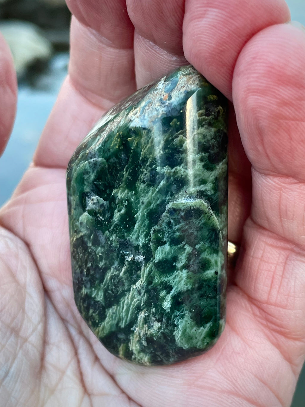 🌲 Polished Vermont Greenstone – Deep Forest Ripple Pattern (Hand-Collected & Finished)