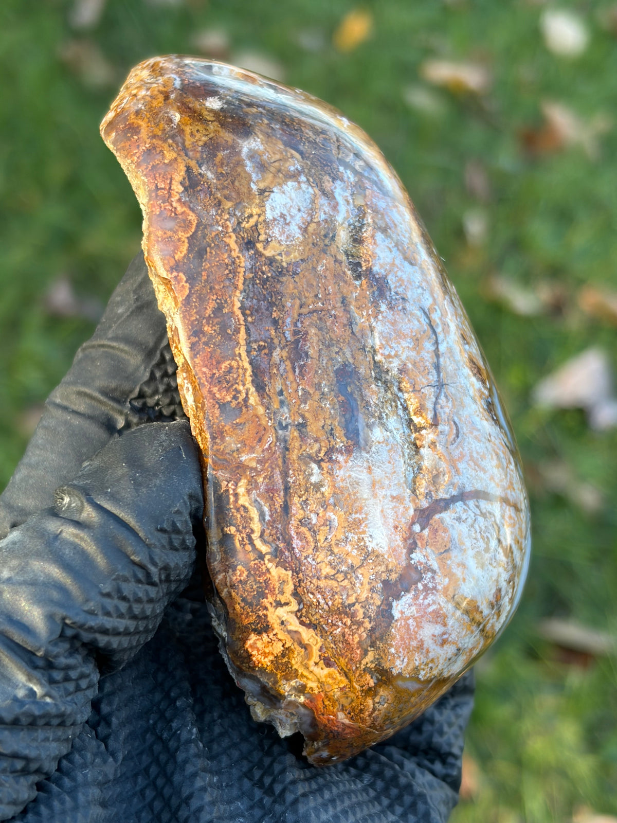 StoneBorn Creations – Natural Agate & Jasper Display Stone | Hand-Polished with Blue-Gray Agate Veins