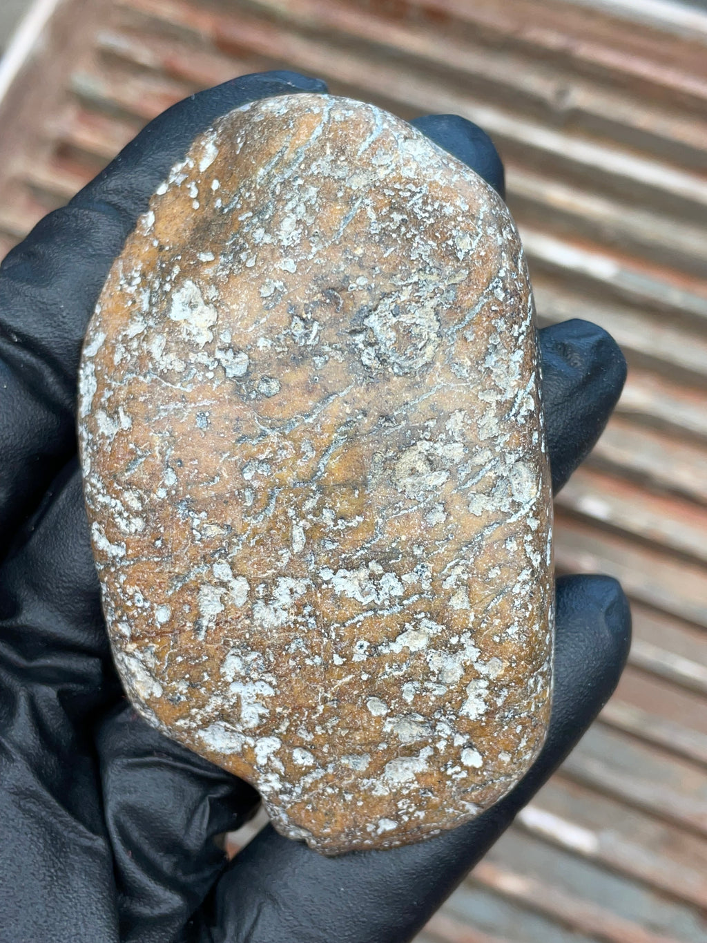 StoneBorn Creations | Polished Vermont Greenstone Slab — Soft Sage + Golden Freckling