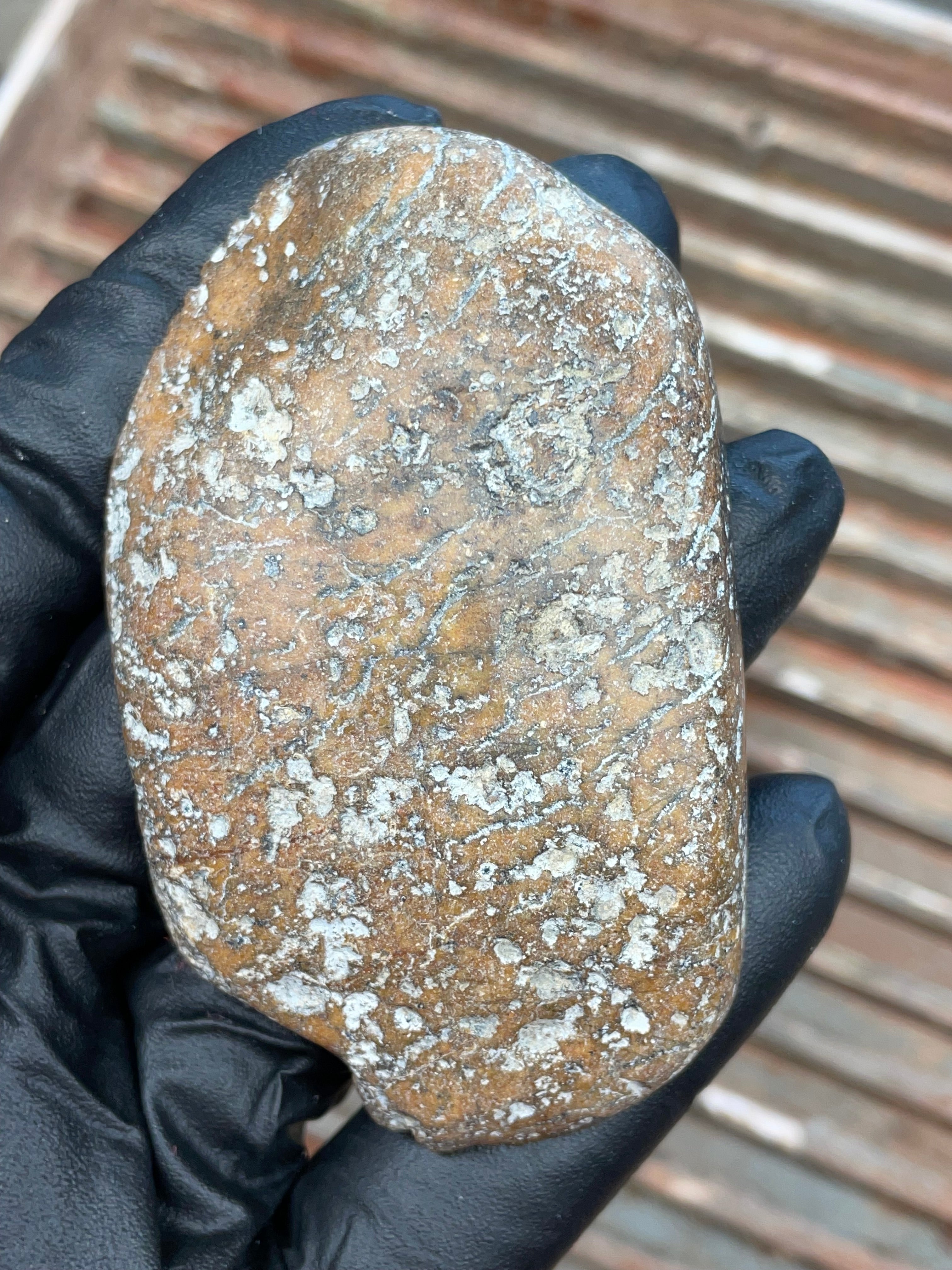 StoneBorn Creations | Polished Vermont Greenstone Slab — Soft Sage + Golden Freckling