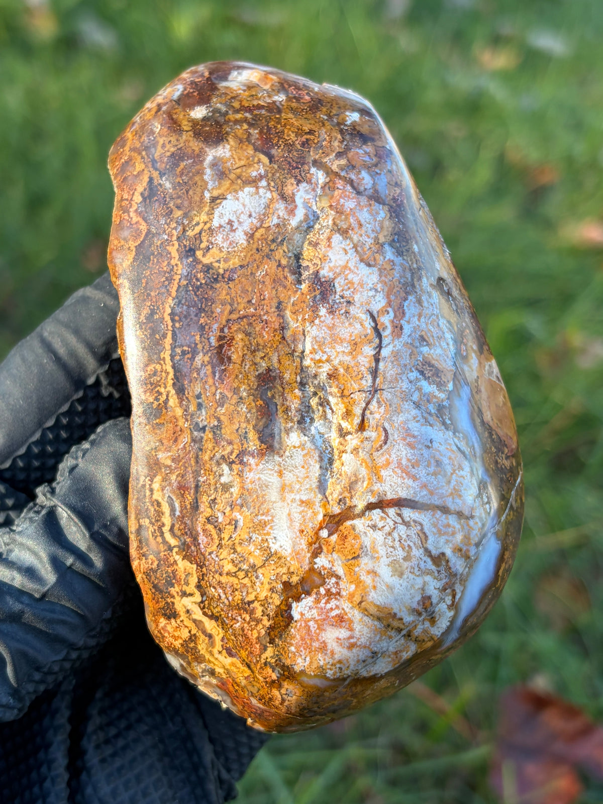 StoneBorn Creations – Natural Agate & Jasper Display Stone | Hand-Polished with Blue-Gray Agate Veins
