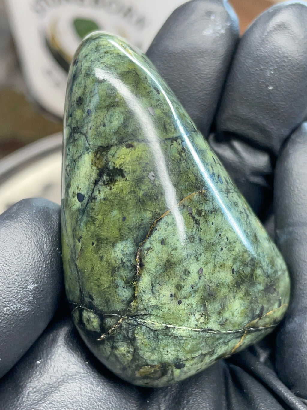 Hand-Polished Green Serpentine Freeform | StoneBorn Creations