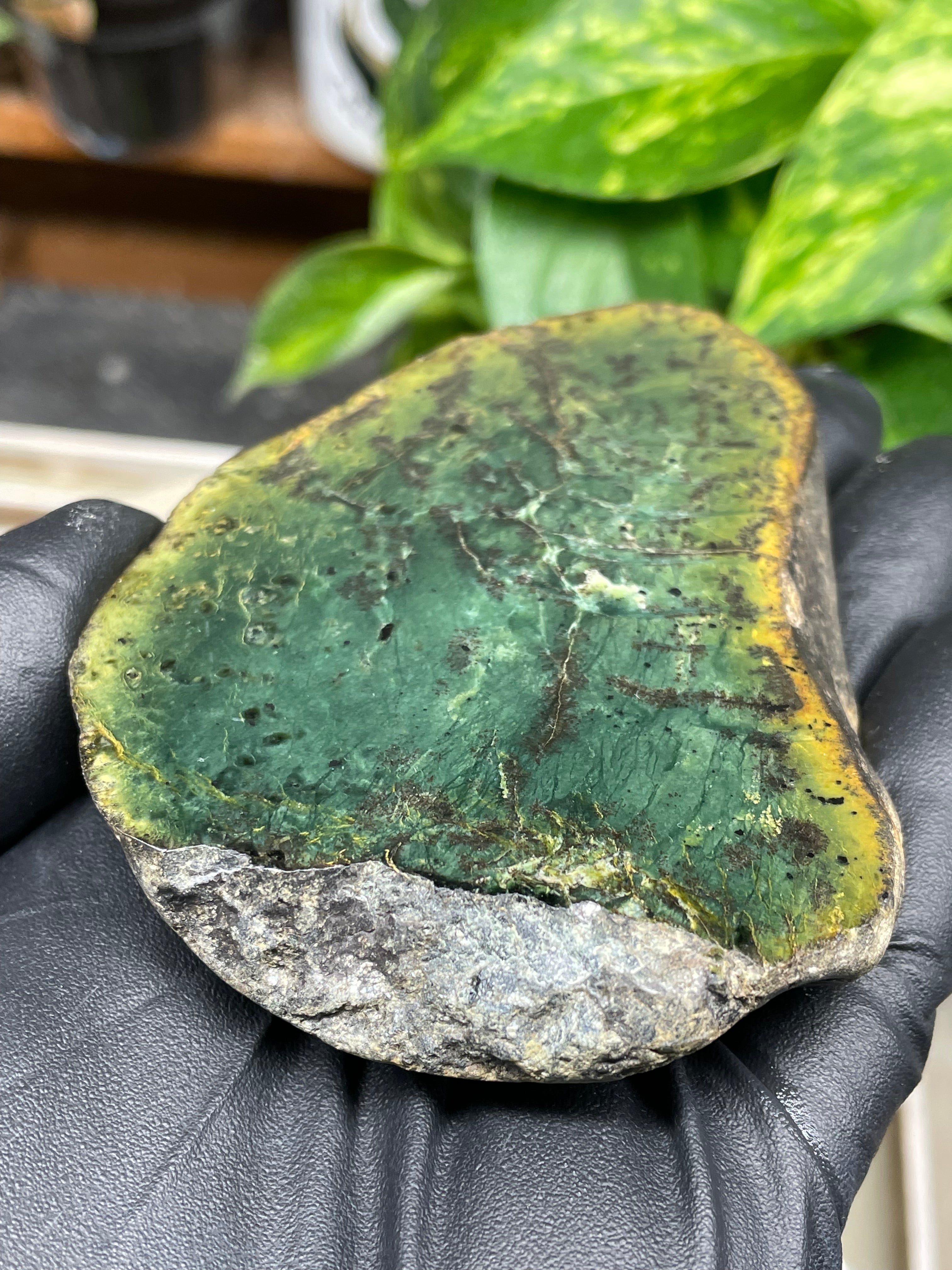 StoneBorn Creations Hand-Polished Vermont Greenstone Pair – Deep Emerald Interior Freeform Halves with Natural Earthy Matrix