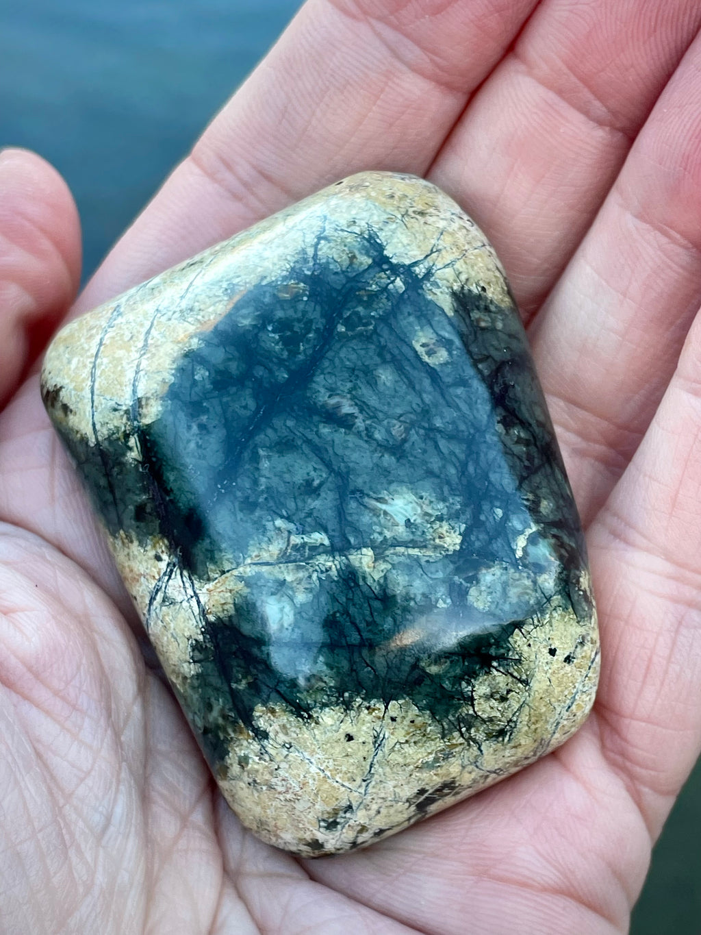 🌲 Polished Vermont Greenstone — Deep Forest Gold Vein (Hand-Collected & Finished)