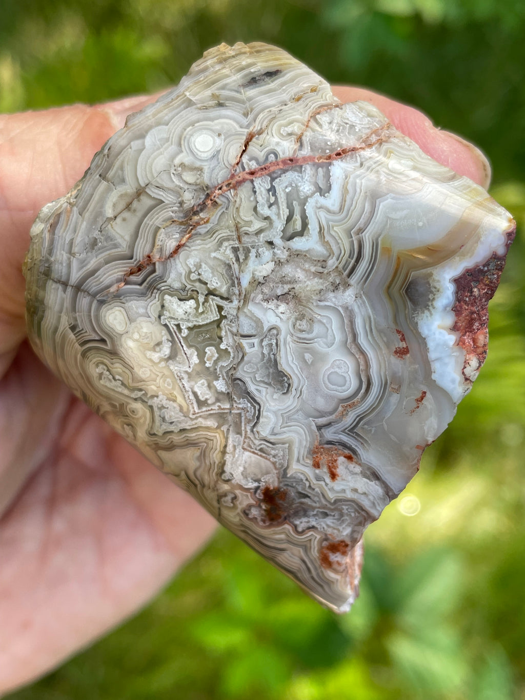 StoneBorn Creations Hand-Polished Lace Agate Freeform with Intricate Fortification Banding, Orbicular Eyes & Natural Druzy Quartz Pocket