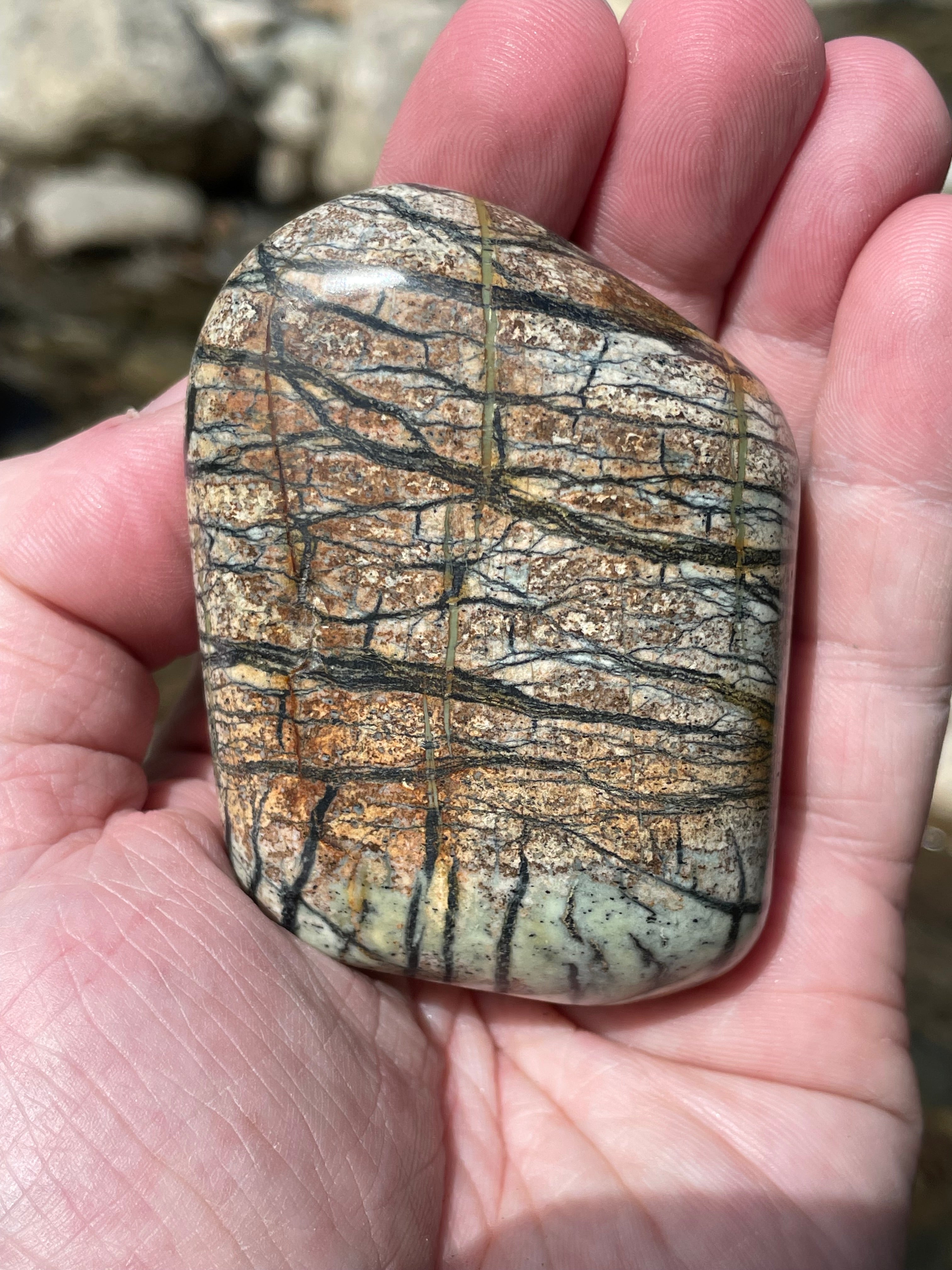 StoneBorn Creations Hand-Polished River Stone Freeform with Natural Black Webbing Patterns and Earthy Veining