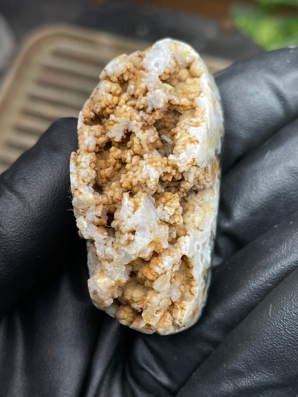 StoneBorn Creations Hand-Polished Crystal Pocket Agate Freeform | Raw Druzy Crown | Natural Chalcedony & Earth Tones