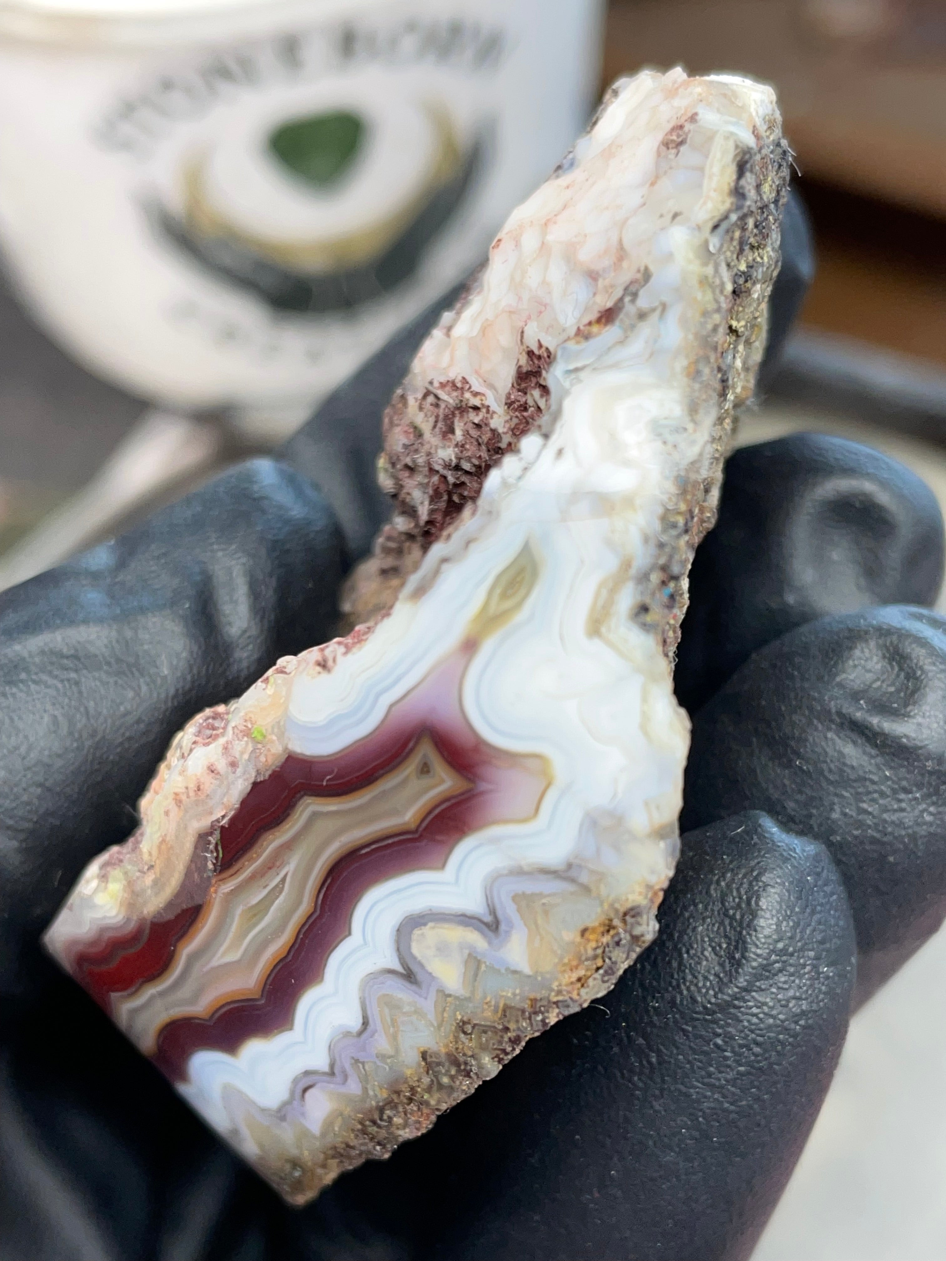 StoneBorn Creations – Hand-Collected & Hand-Polished Fortification Agate (Raw Top & Bottom)