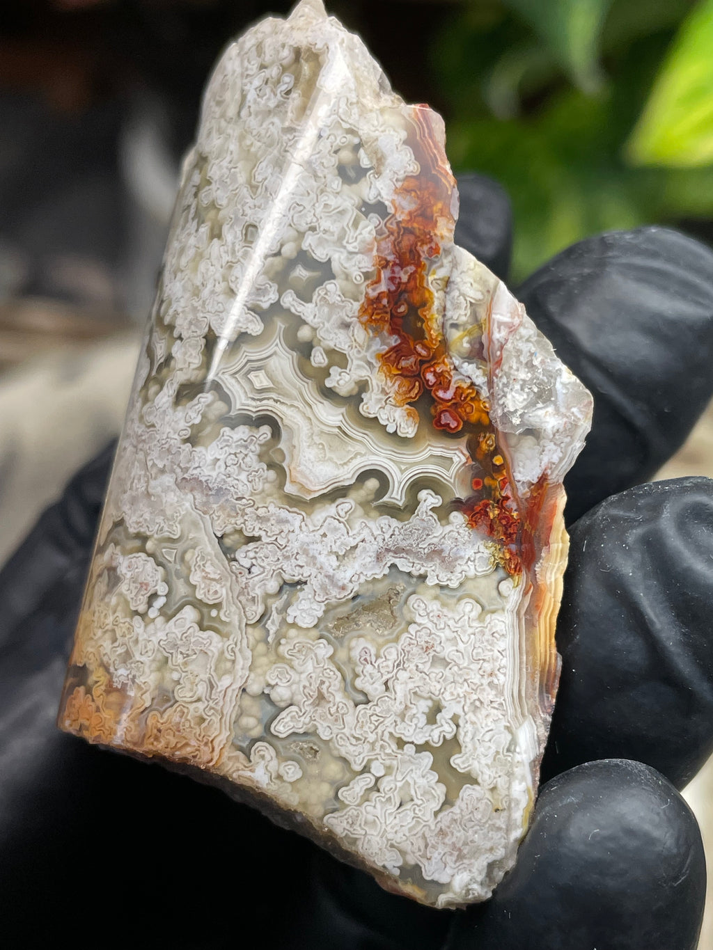 StoneBorn Creations Hand-Polished Lace Agate with Intricate White Plume Banding, Earth Tones & Natural Freeform Finish
