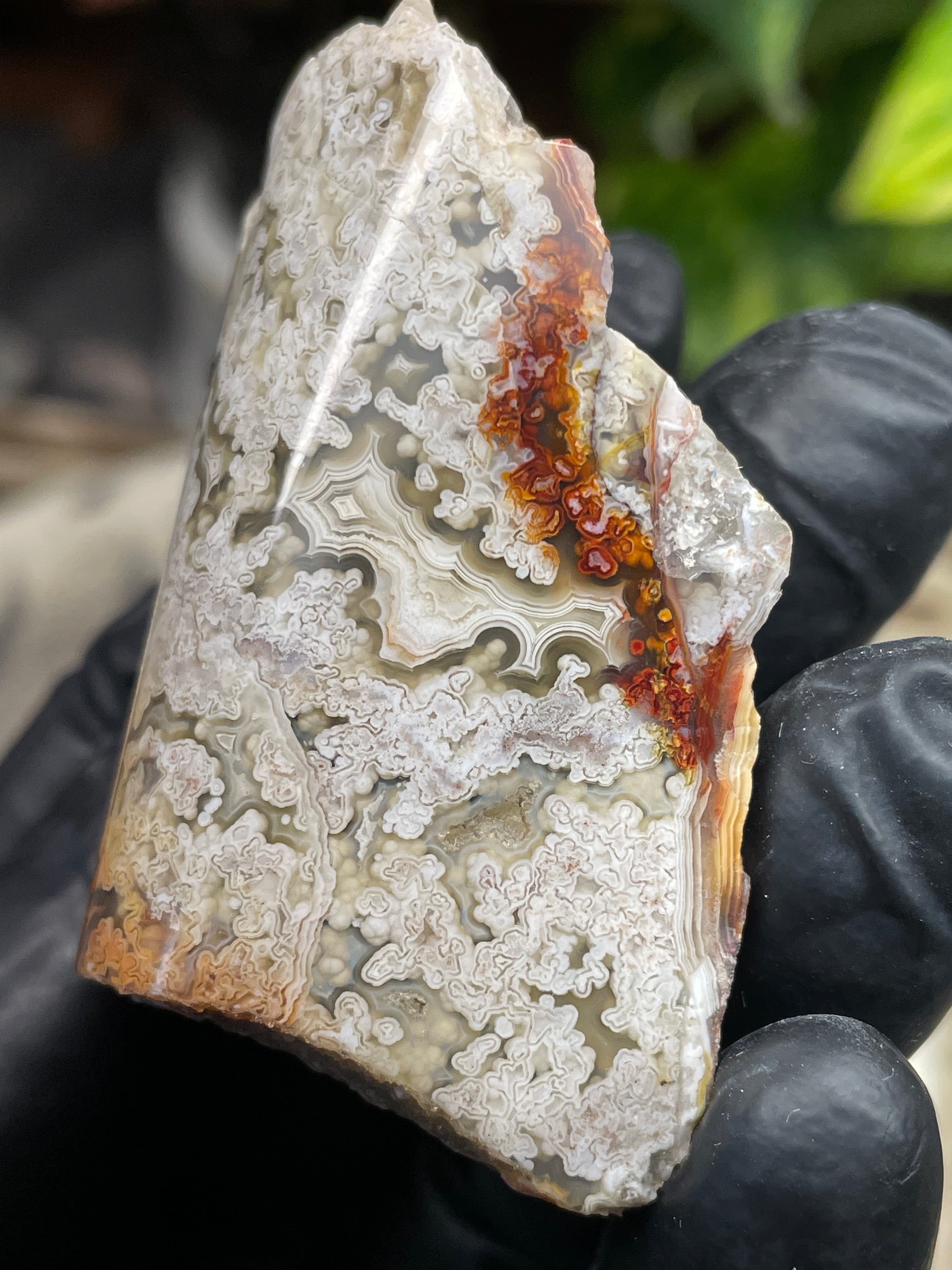 StoneBorn Creations Hand-Polished Lace Agate with Intricate White Plume Banding, Earth Tones & Natural Freeform Finish