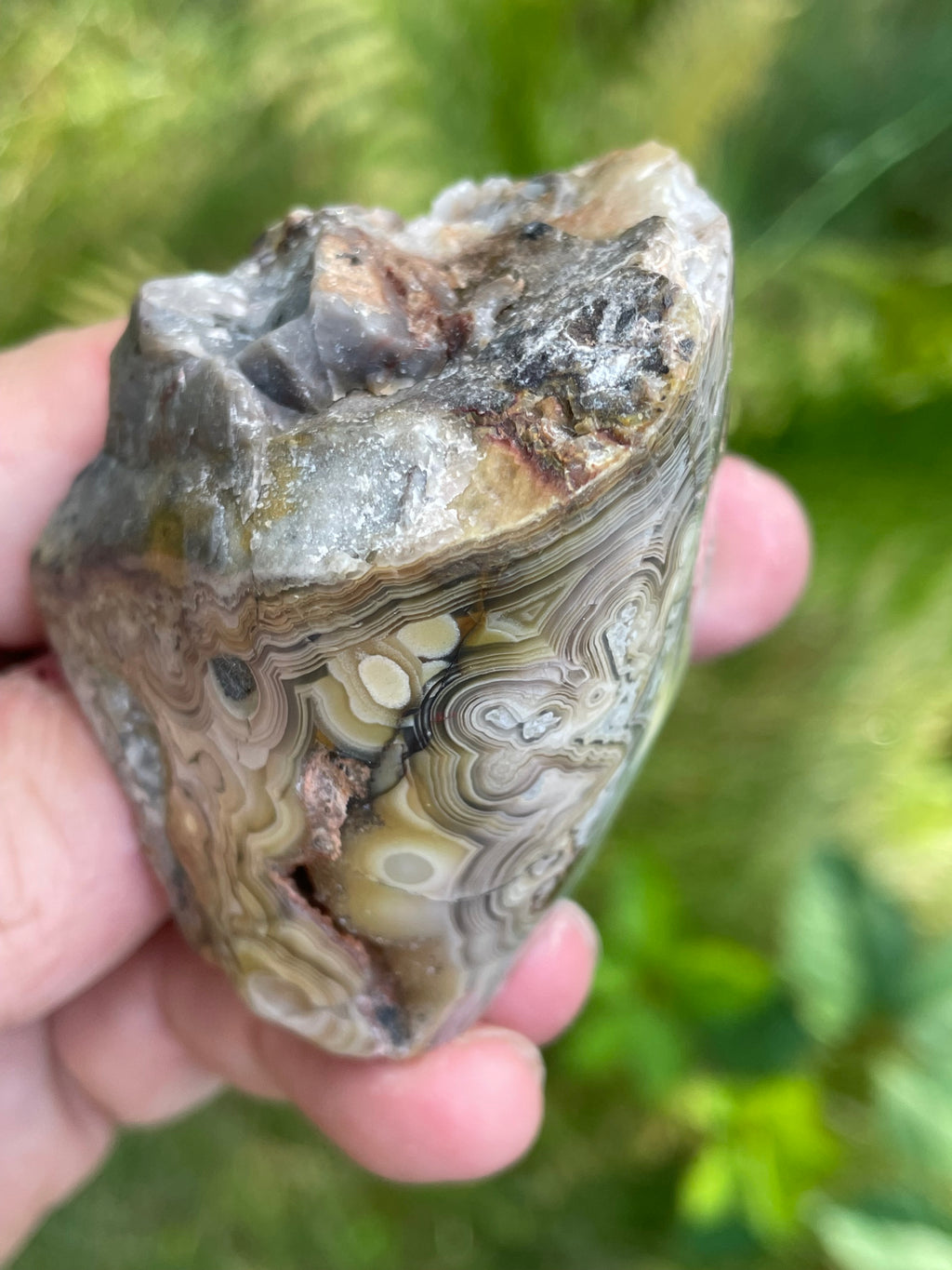 StoneBorn Creations Hand-Polished Lace Agate Freeform with Intricate Fortification Banding, Orbicular Eyes & Natural Druzy Quartz Pocket