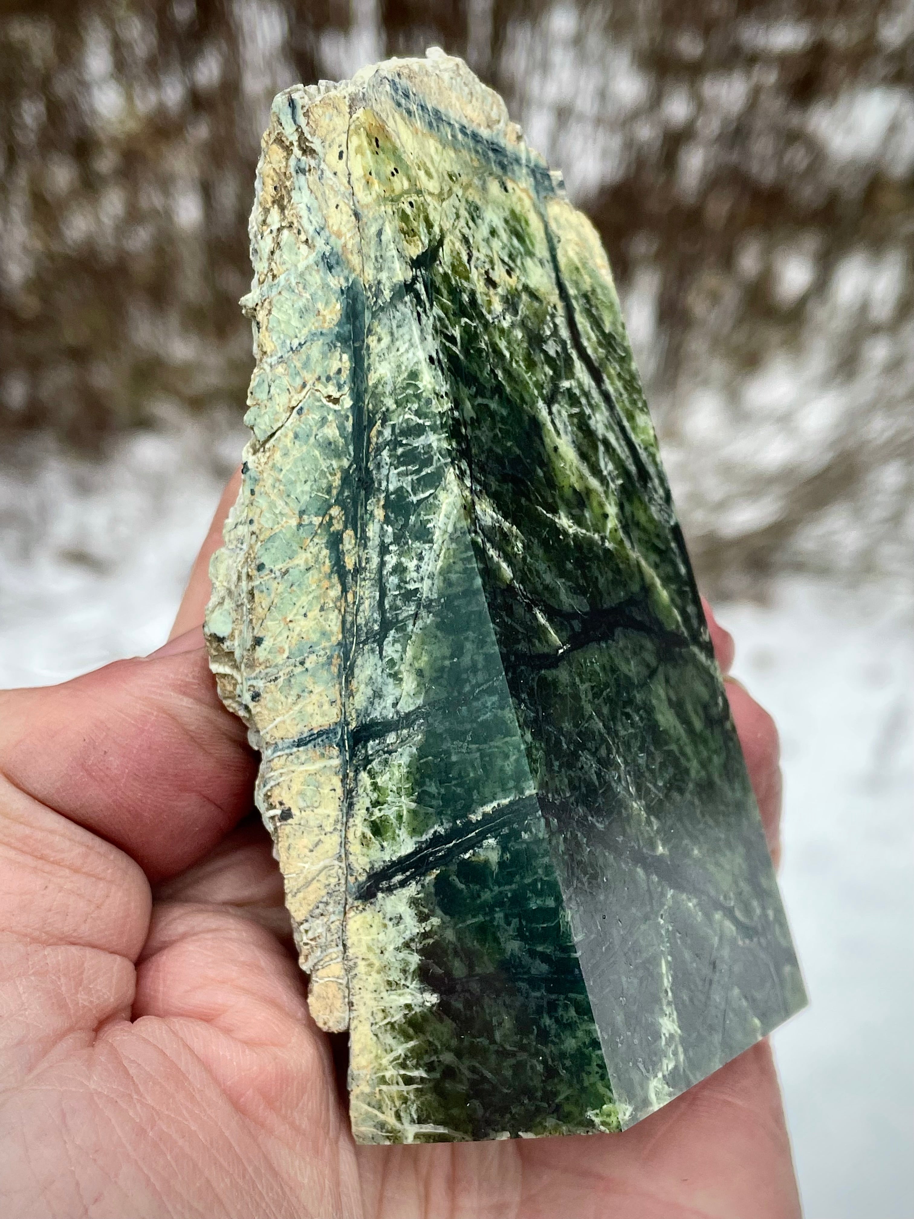 🌲 Polished Vermont Greenstone – Deep Veined Standing Stone (Hand-Collected & Polished)