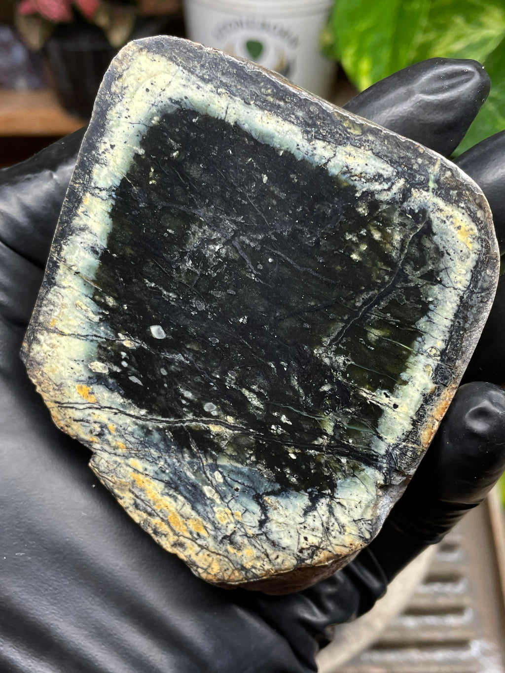 StoneBorn Creations Hand-Polished Vermont Serpentine Pair – River-Cut Matching Halves with Dark Core & Natural Green Halo