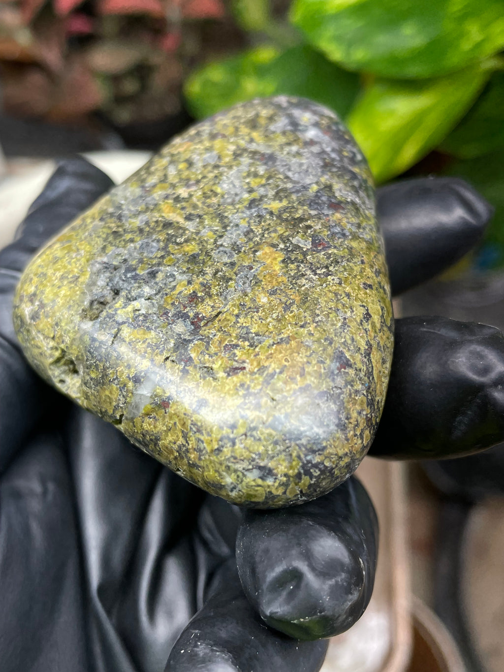 StoneBorn Creations Hand-Polished Vermont Serpentine with Garnet Flecking, Quartz Pockets, and Deep Olive Green Matrix Freeform Finish