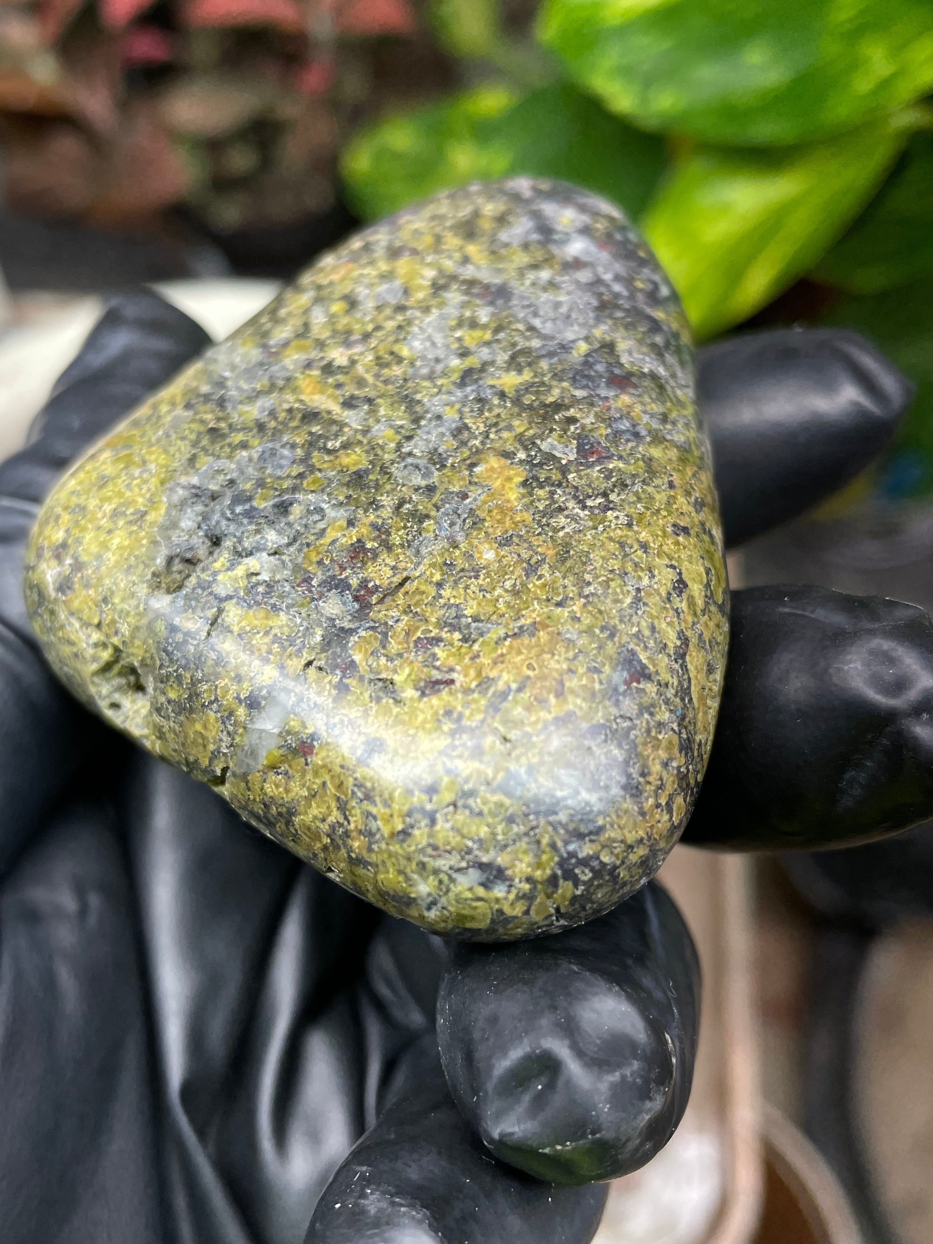 StoneBorn Creations Hand-Polished Vermont Serpentine with Garnet Flecking, Quartz Pockets, and Deep Olive Green Matrix Freeform Finish