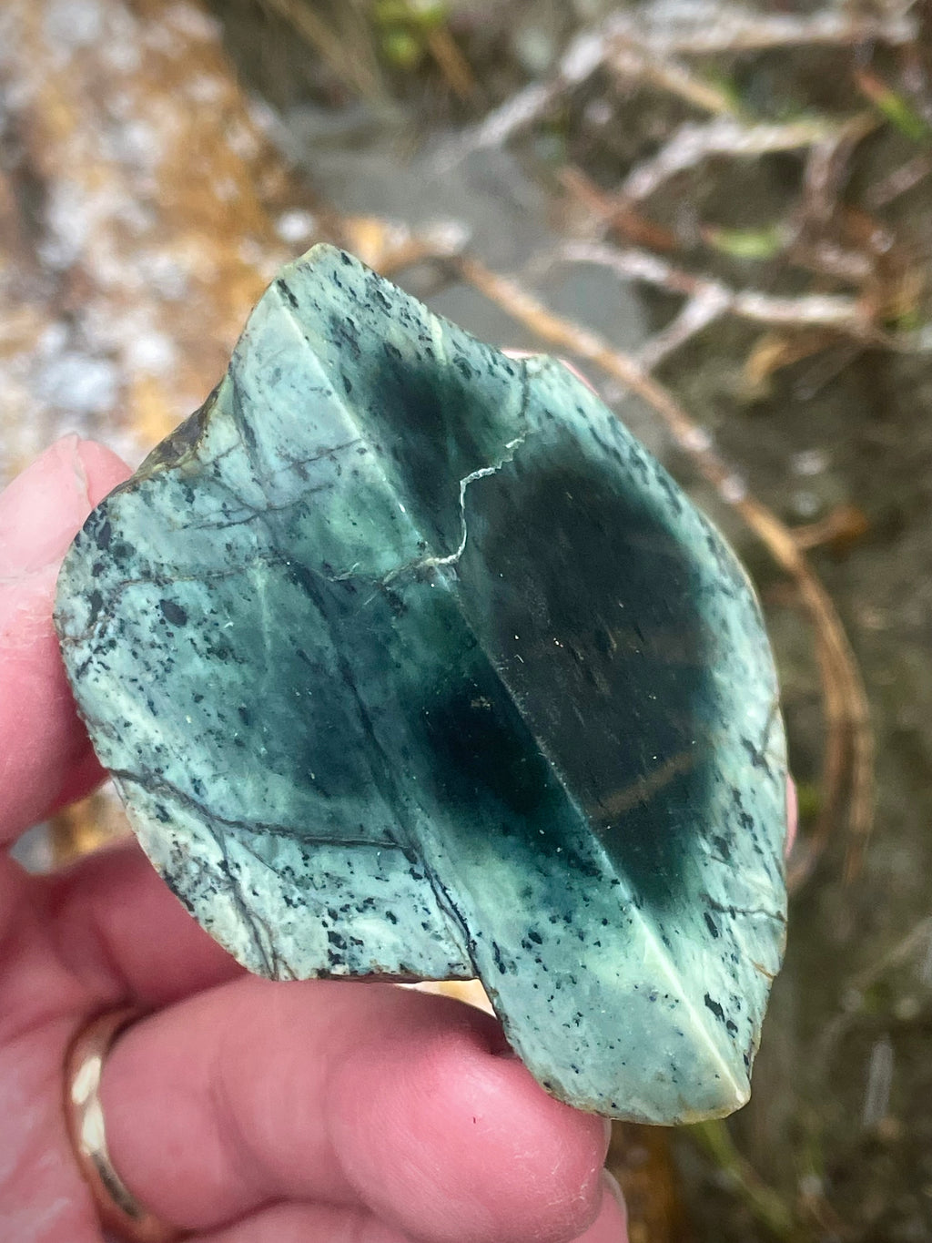 🌿 Polished Vermont Green Serpentine – Deep Forest Core Slice