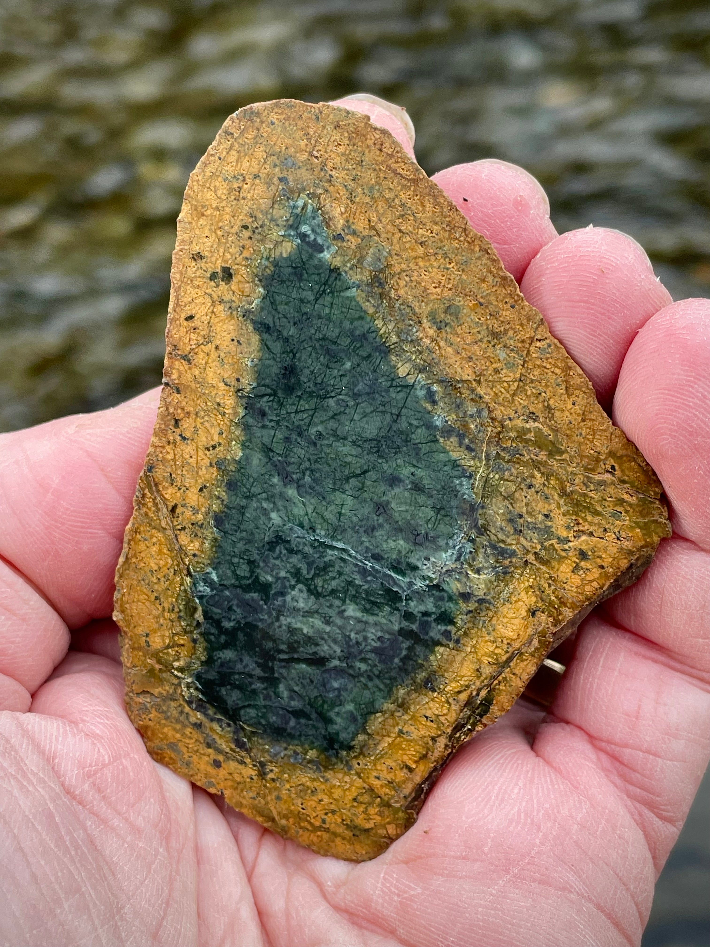 🌲 Vermont Green Serpentine Core Slice – Natural Golden Rind