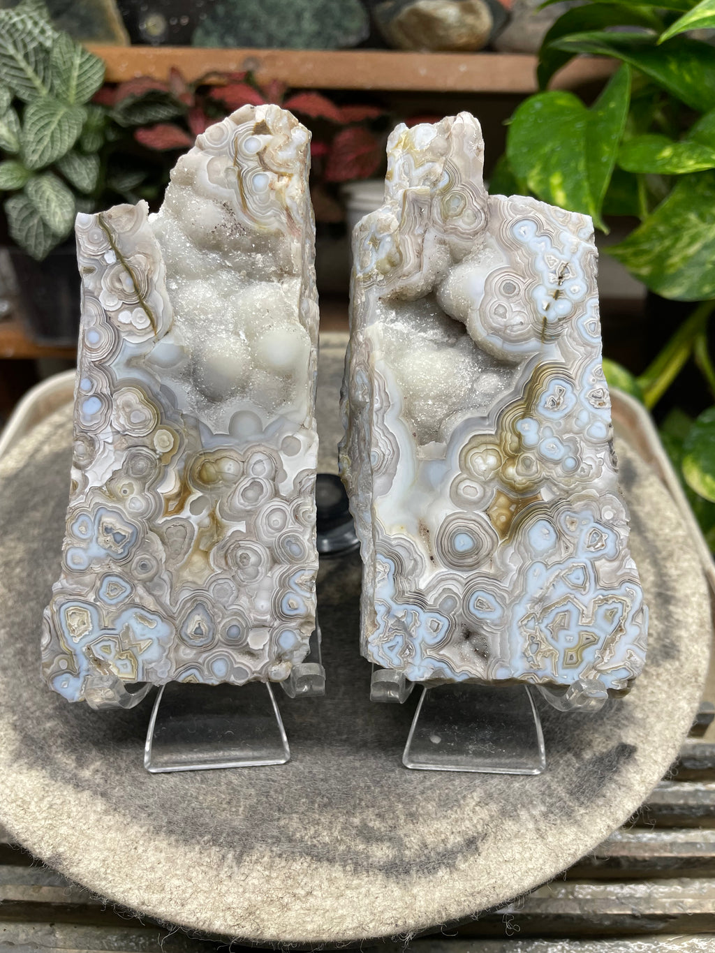 StoneBorn Creations Hand-Polished Lace Agate Pair – River Cut Matching Display Halves with Druzy Crystal Pockets & Intricate Natural Banding