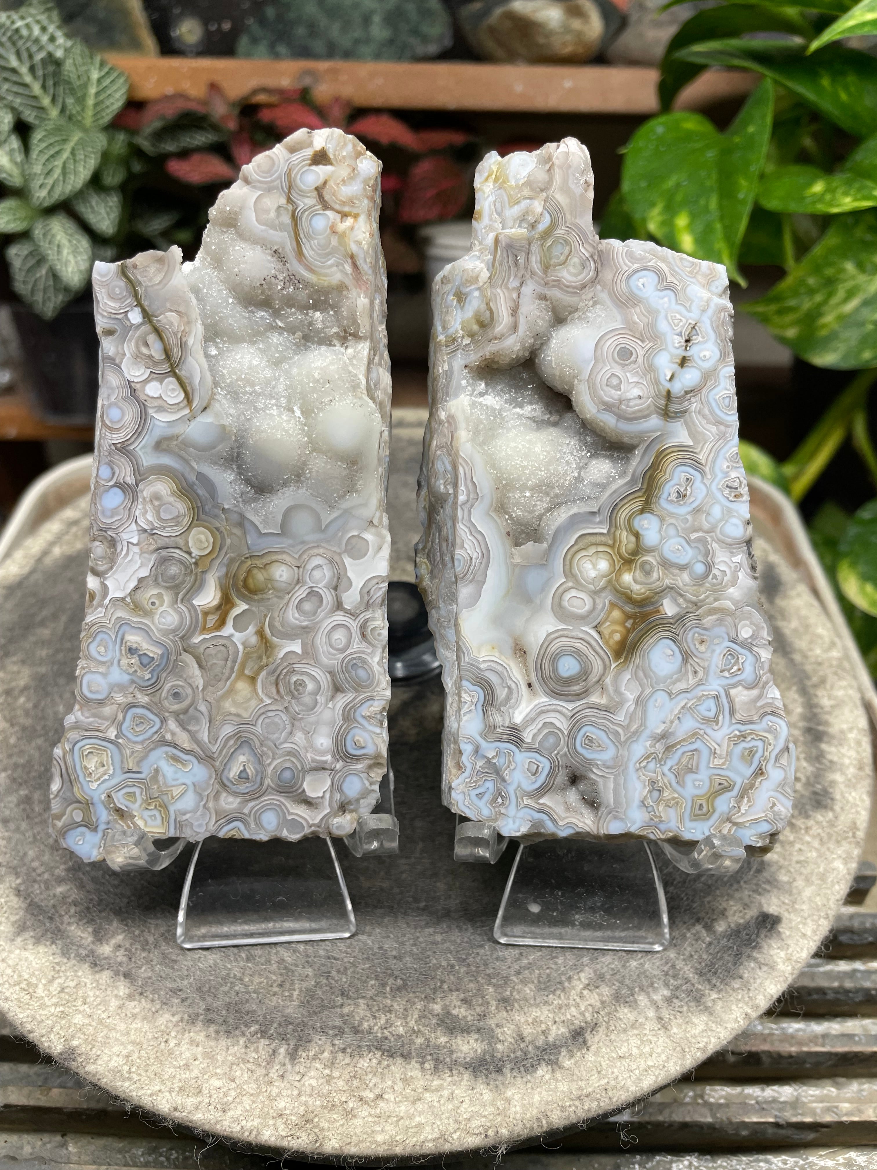 StoneBorn Creations Hand-Polished Lace Agate Pair – River Cut Matching Display Halves with Druzy Crystal Pockets & Intricate Natural Banding
