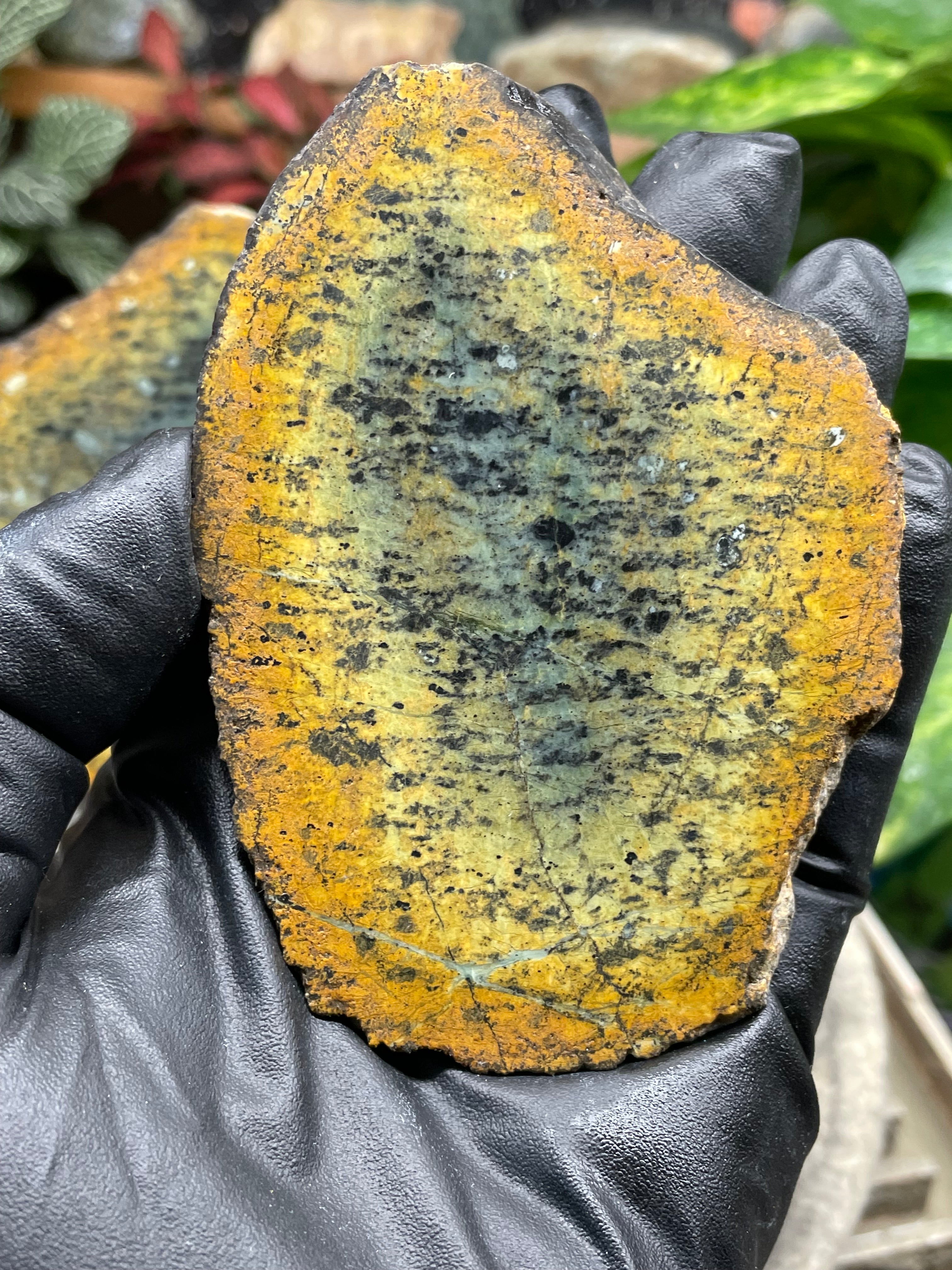 StoneBorn Creations Hand-Polished Vermont Greenstone Pair with Earthy Ochre Weathering and Natural Black Mineral Patterning – Freeform Display Halves