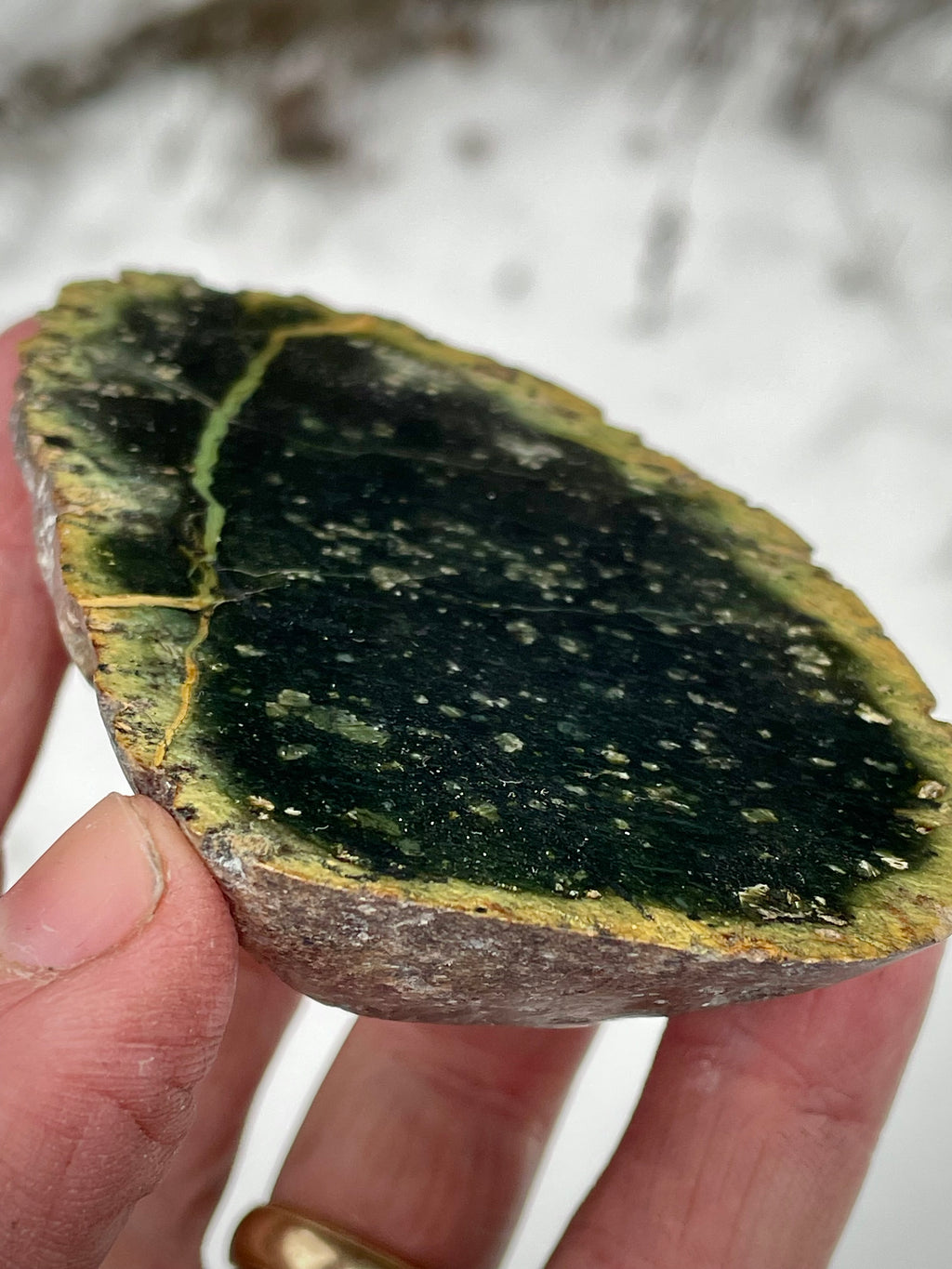 🌲 Polished Vermont Serpentine Stone – Dark Veined Freeform Slice (Hand-Collected & Polished)