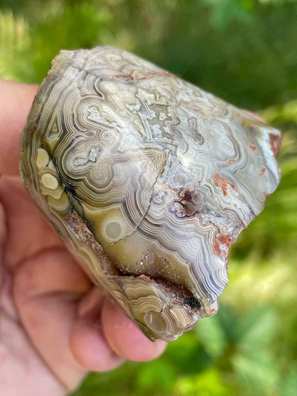 StoneBorn Creations Hand-Polished Lace Agate Freeform with Intricate Fortification Banding, Orbicular Eyes & Natural Druzy Quartz Pocket