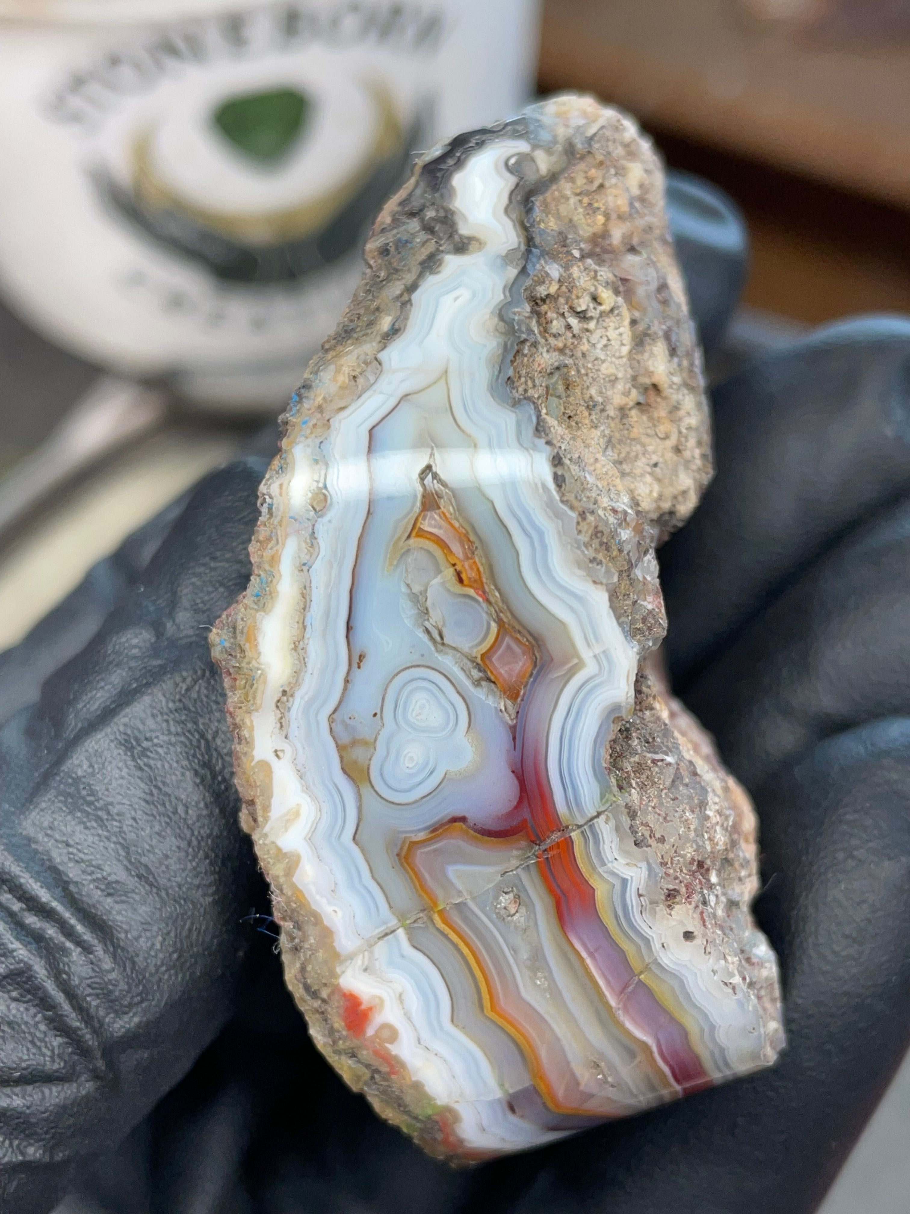 StoneBorn Creations – Hand-Collected & Hand-Polished Fortification Agate (Raw Top & Bottom)
