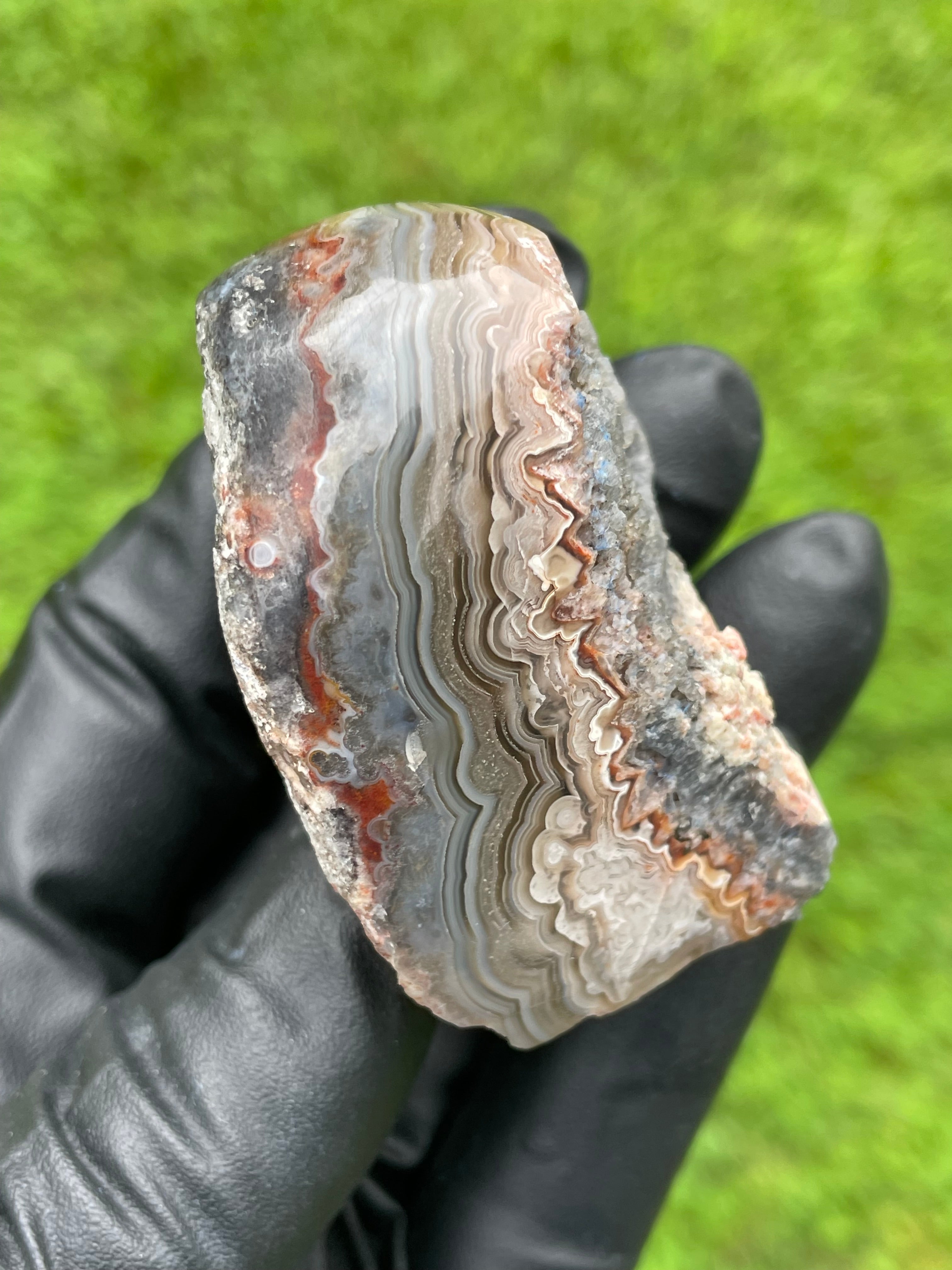 StoneBorn Creations Hand-Polished crazy Lace Agate Freeform