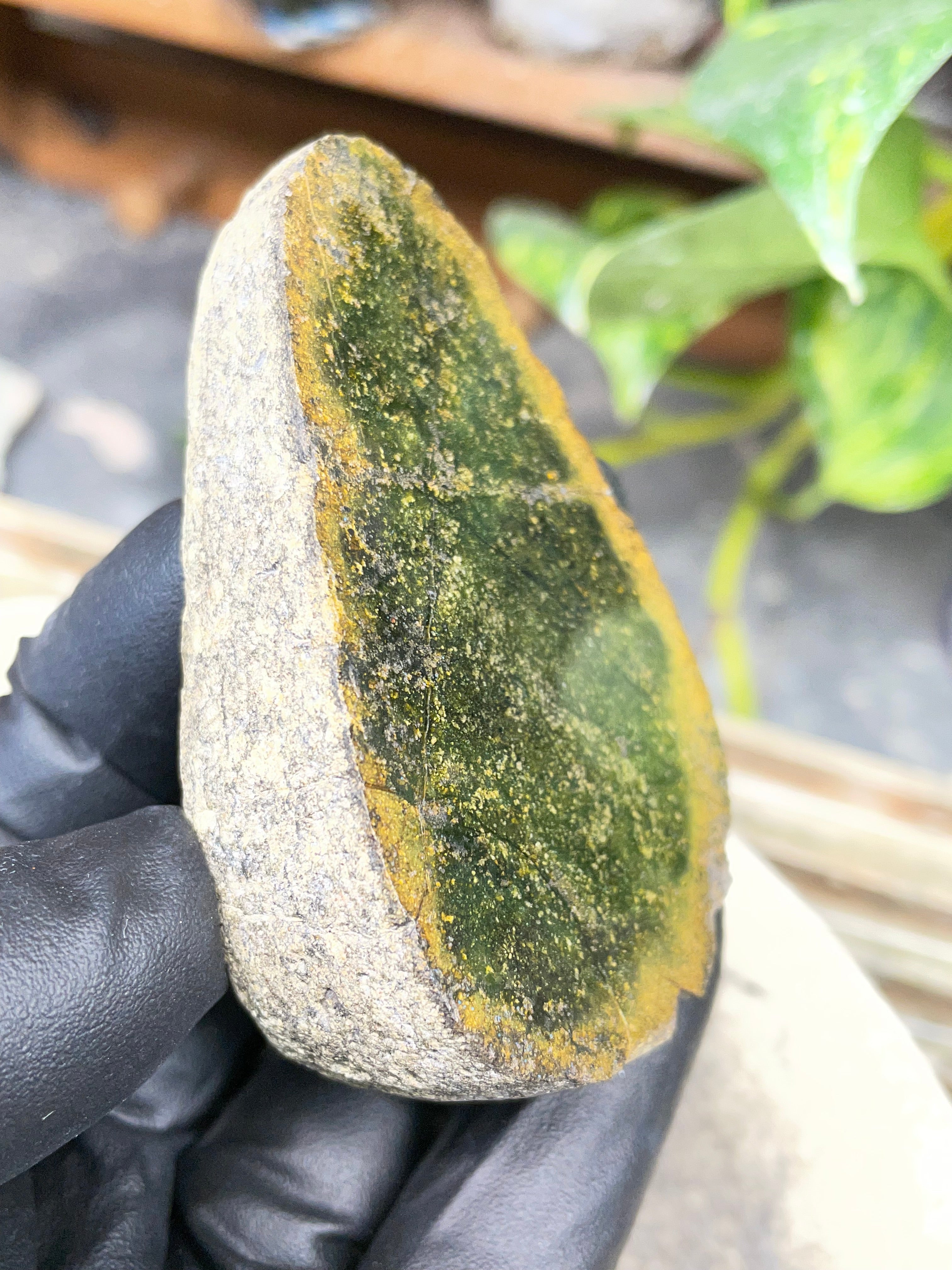StoneBorn Creations Hand-Polished Vermont Serpentine Freeform Display Stone | Natural Green Reveal | Raw Back