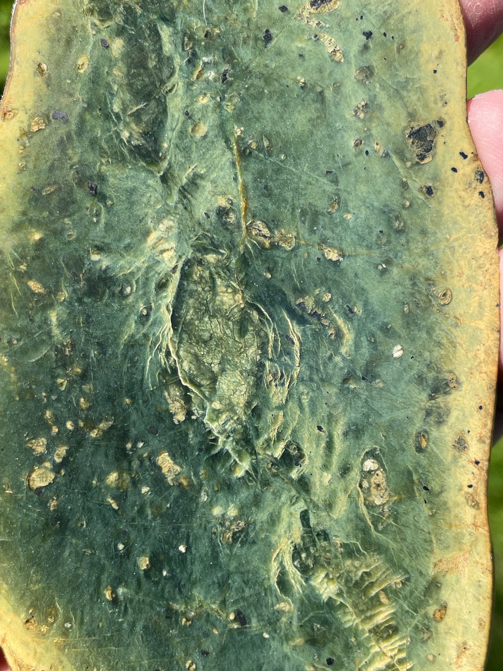 StoneBorn Creations Hand-Polished Vermont Serpentine Bookmatched Pair | One-of-a-Kind Natural Display Stones