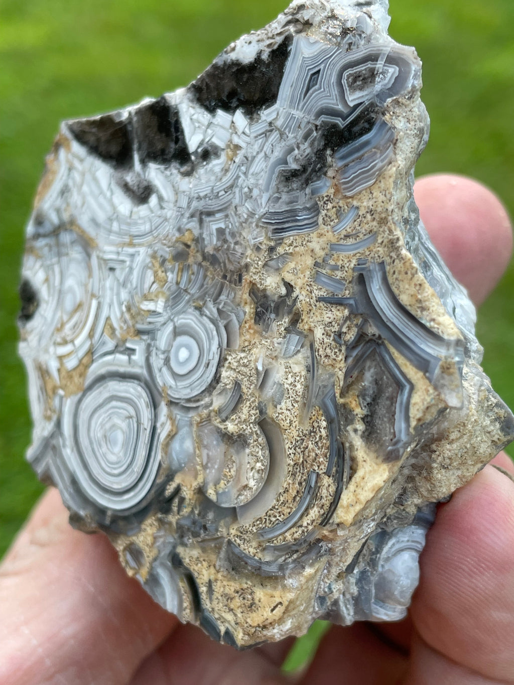 StoneBorn Creations Hand-Polished Tuxedo Lace Agate Bookmatched Pair | One-of-a-Kind Natural Display Stones