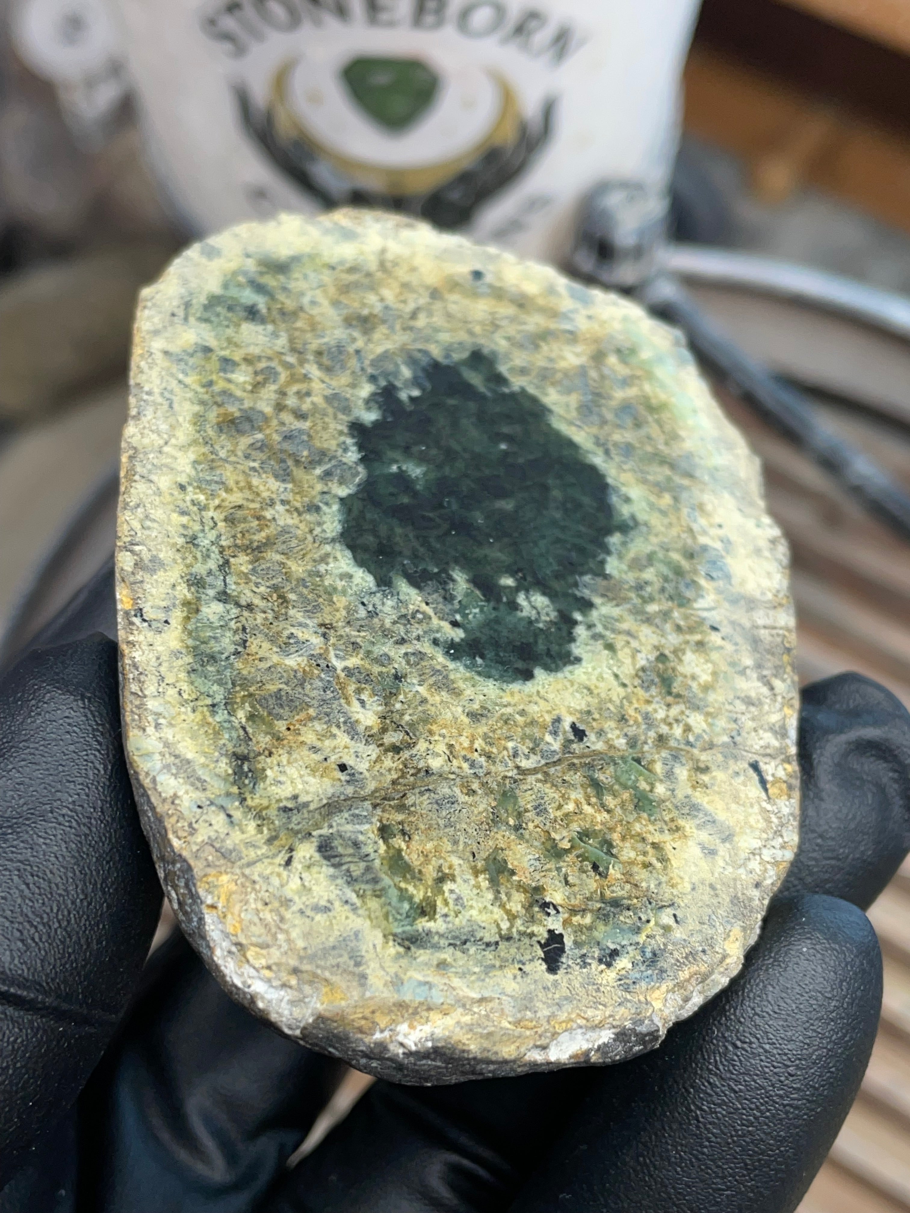 Hand-Collected Serpentine with Natural Jade Core | Raw & Polished StoneBorn Specimen