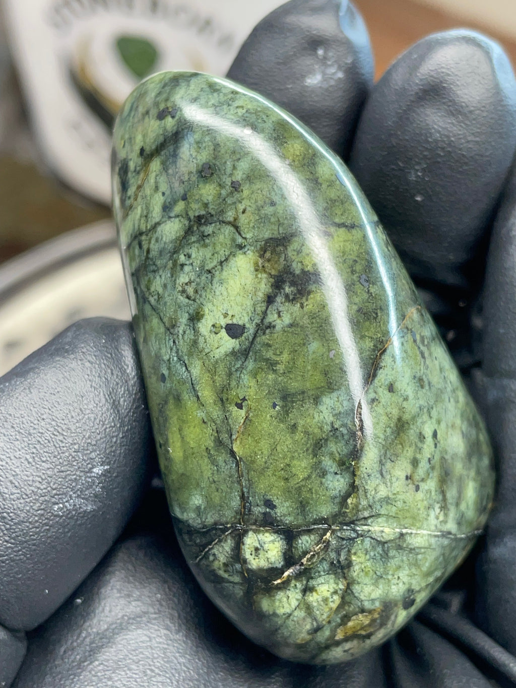 Hand-Polished Green Serpentine Freeform | StoneBorn Creations