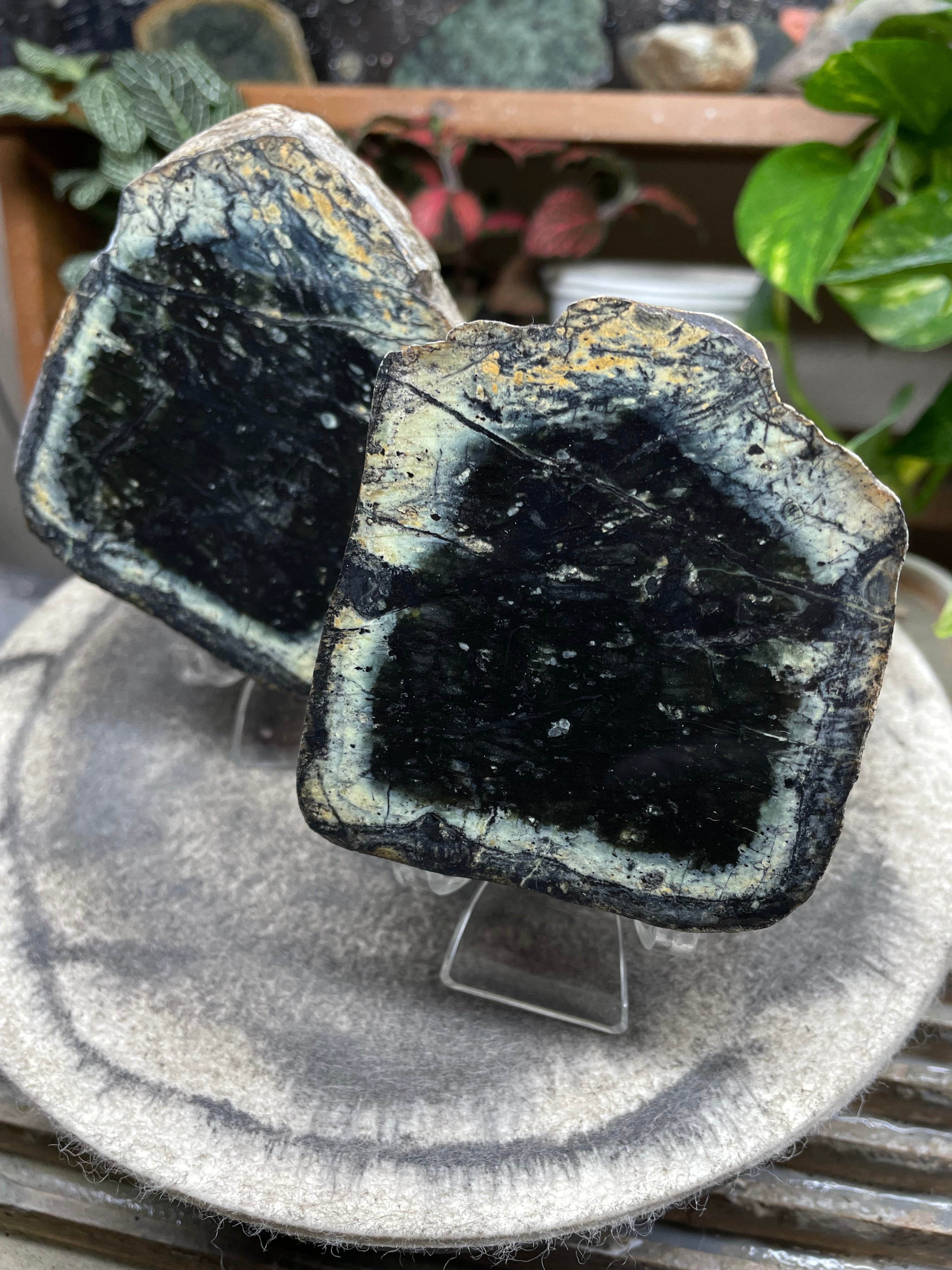 StoneBorn Creations Hand-Polished Vermont Serpentine Pair – River-Cut Matching Halves with Dark Core & Natural Green Halo