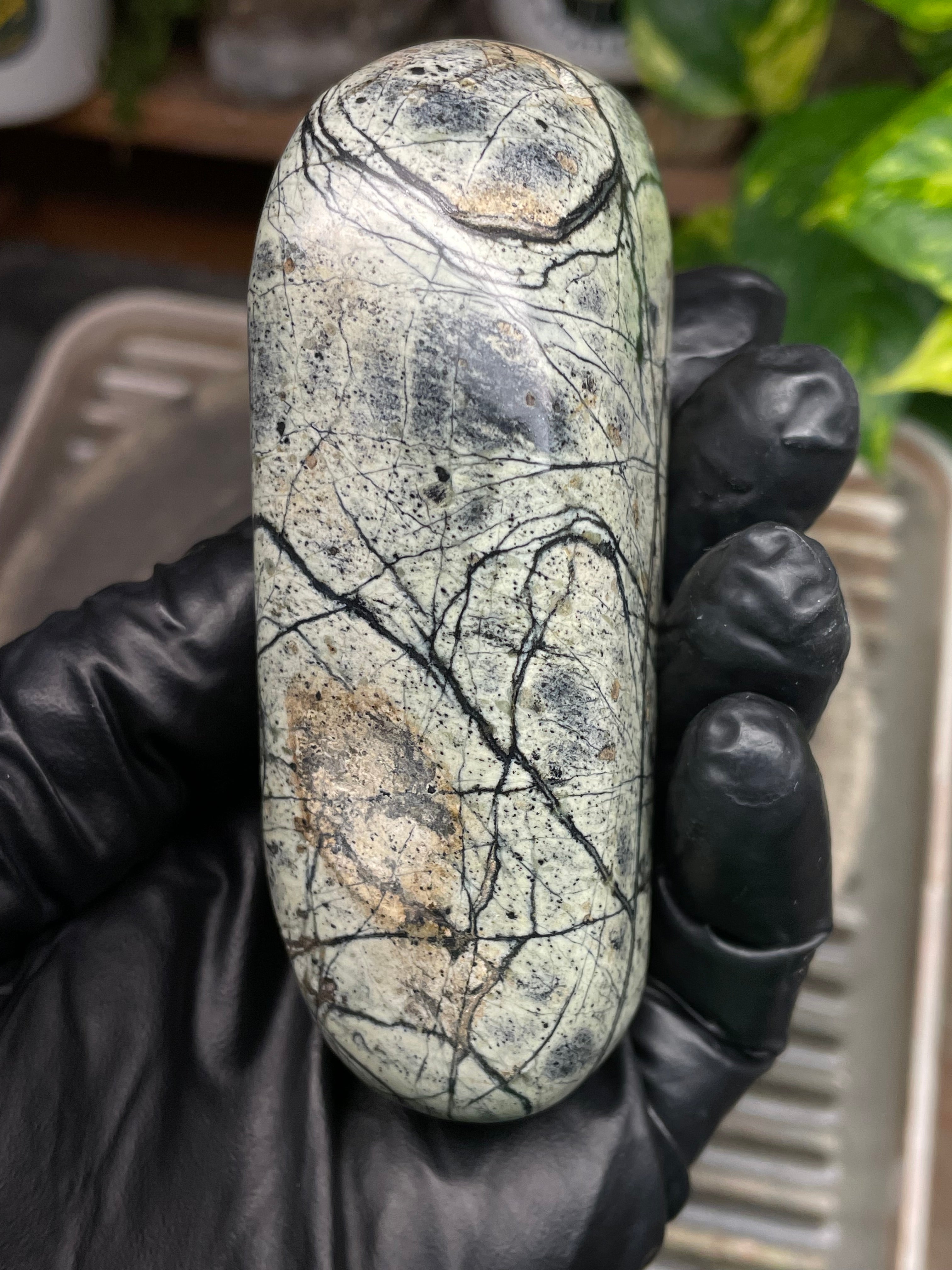 StoneBorn Creations Hand-Polished Vermont Serpentine with Spiderweb Veining, Soft Ivory Green Tones, and Natural Earth Markings