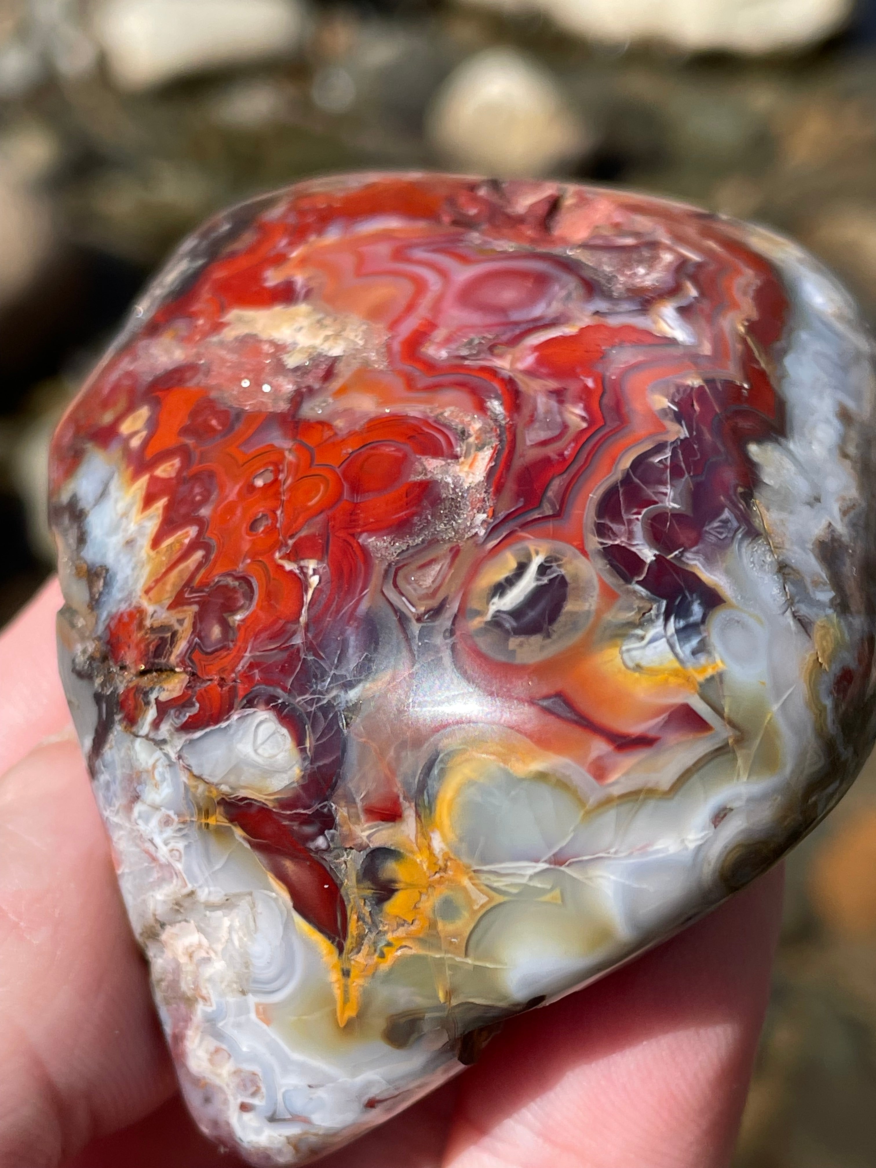StoneBorn Creations Hand Polished Lace Agate Freeform with Fiery Crimson Banding and Natural Raw Backing