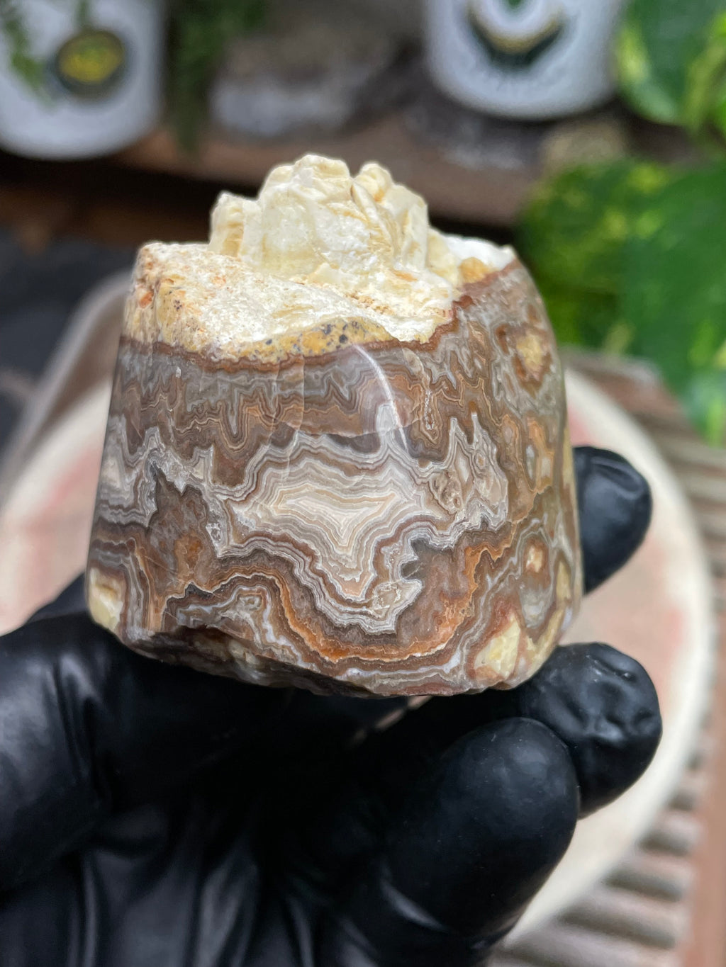 StoneBorn Creations Hand-Polished Banded Lace Agate with Natural Raw Top and Base – Intricate Earth-Toned Banding Freeform Finish