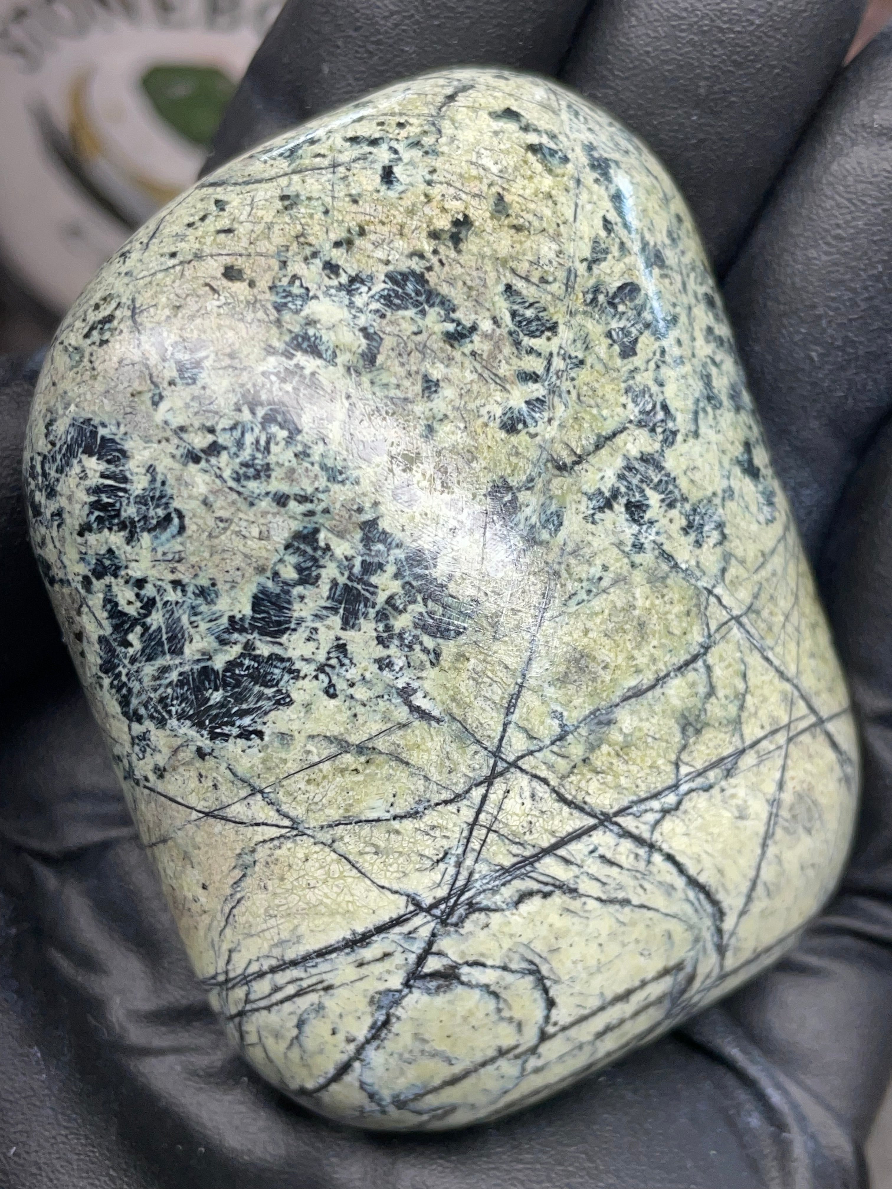 Hand Polished Veined Serpentine • StoneBorn Original