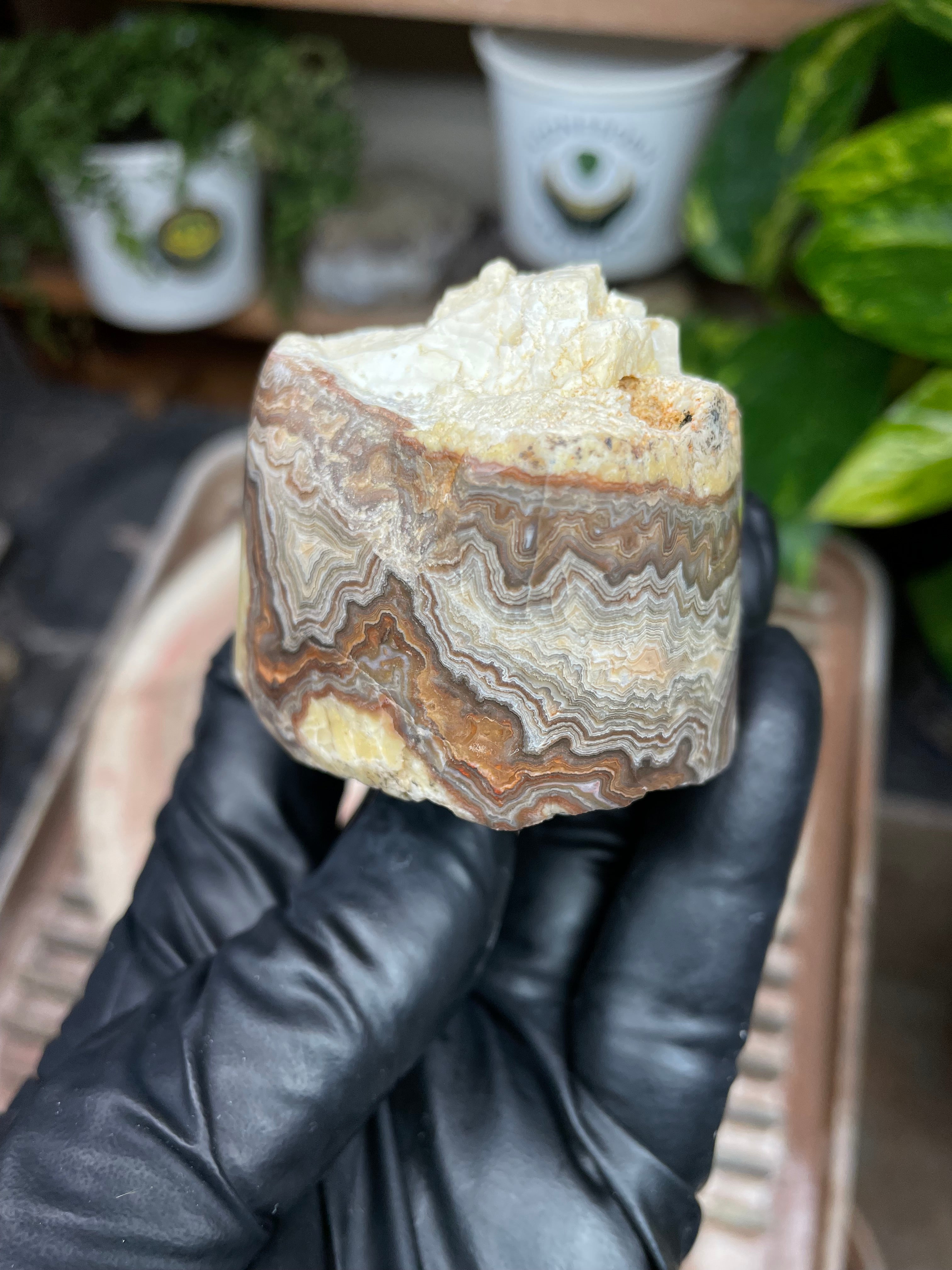 StoneBorn Creations Hand-Polished Banded Lace Agate with Natural Raw Top and Base – Intricate Earth-Toned Banding Freeform Finish