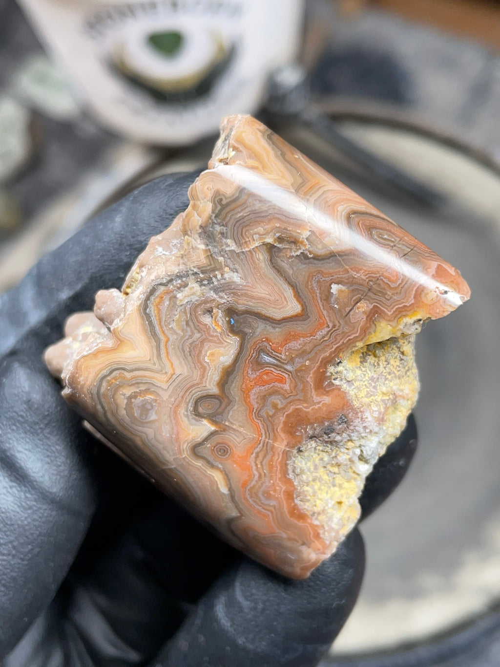StoneBorn Creations Hand-Polished Georgia Crazy Lace Agate with Natural Quartz Vein & Raw Matrix