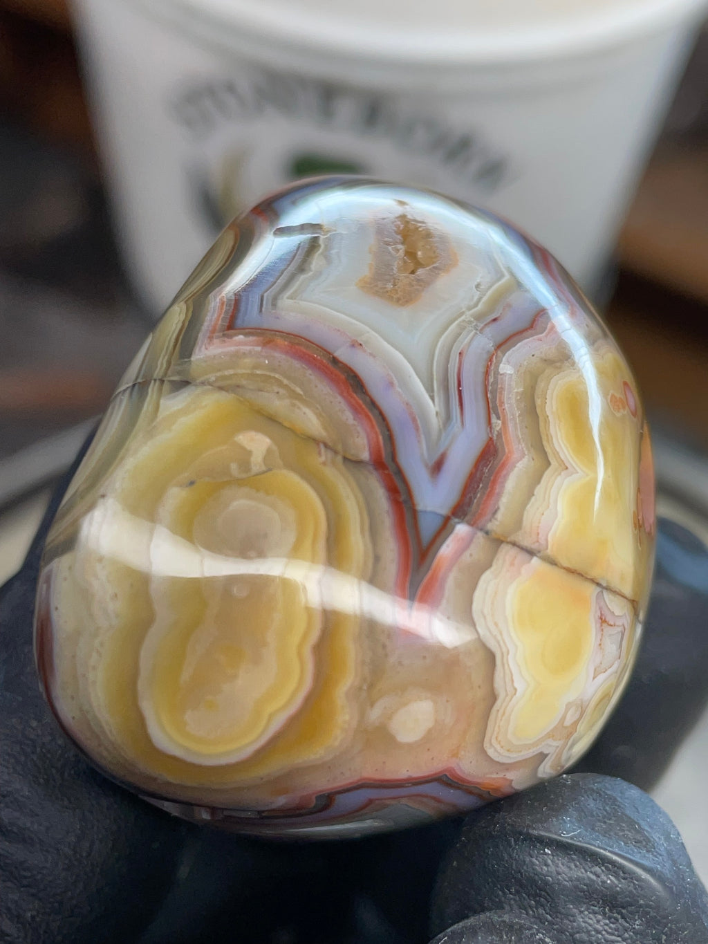 StoneBorn Banded Agate with Natural Druzy Pocket