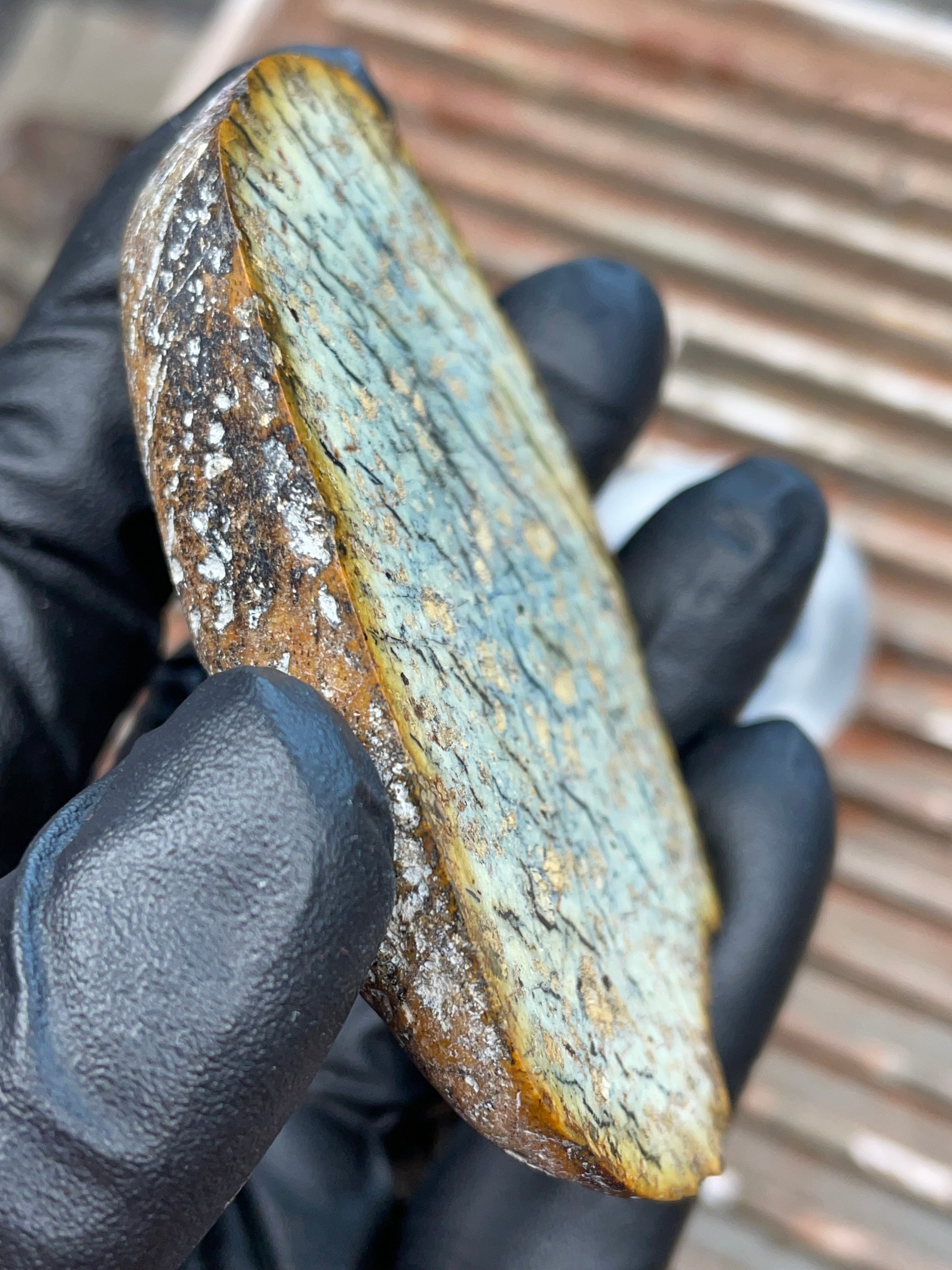 StoneBorn Creations | Polished Vermont Greenstone Slab — Soft Sage + Golden Freckling