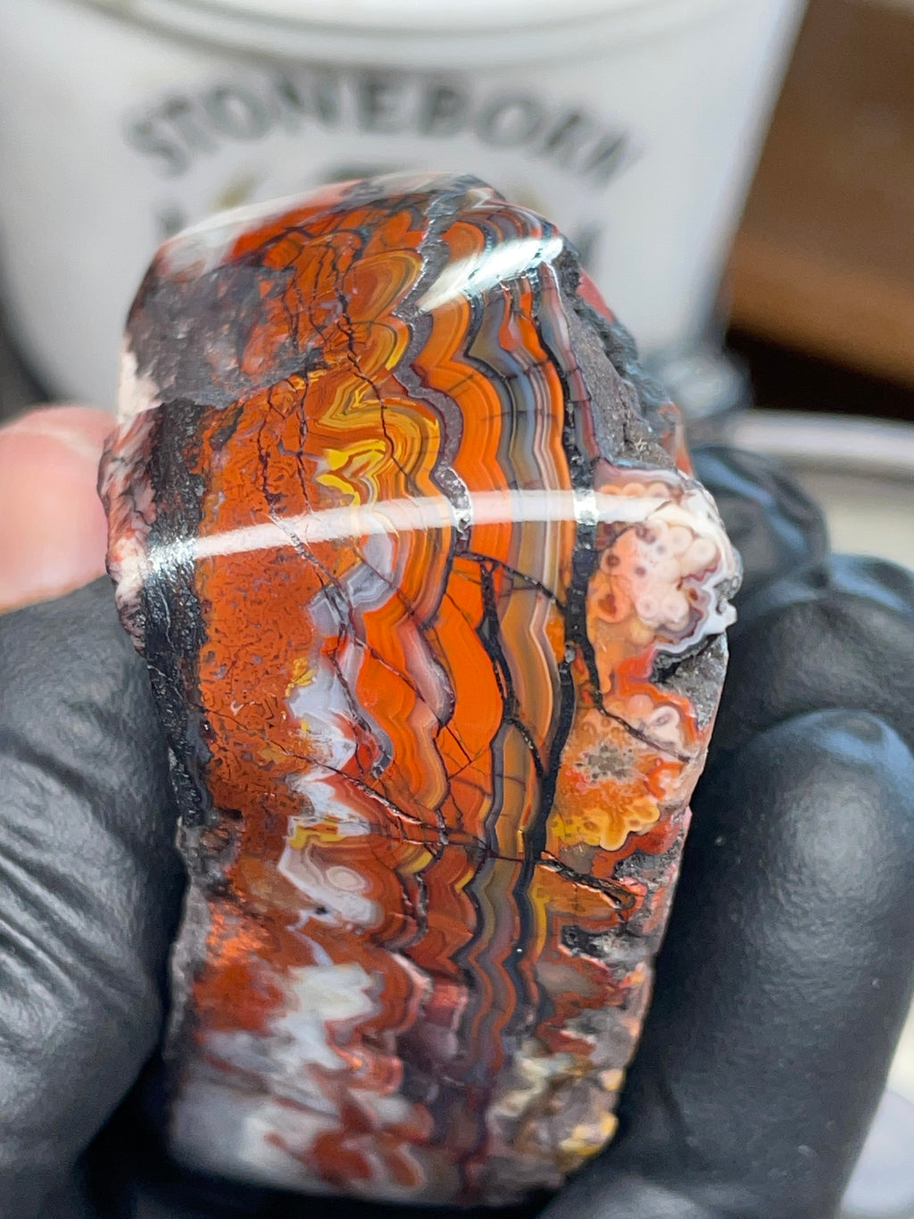 Hand Polished Banded Agate (Raw + Refined Edge)