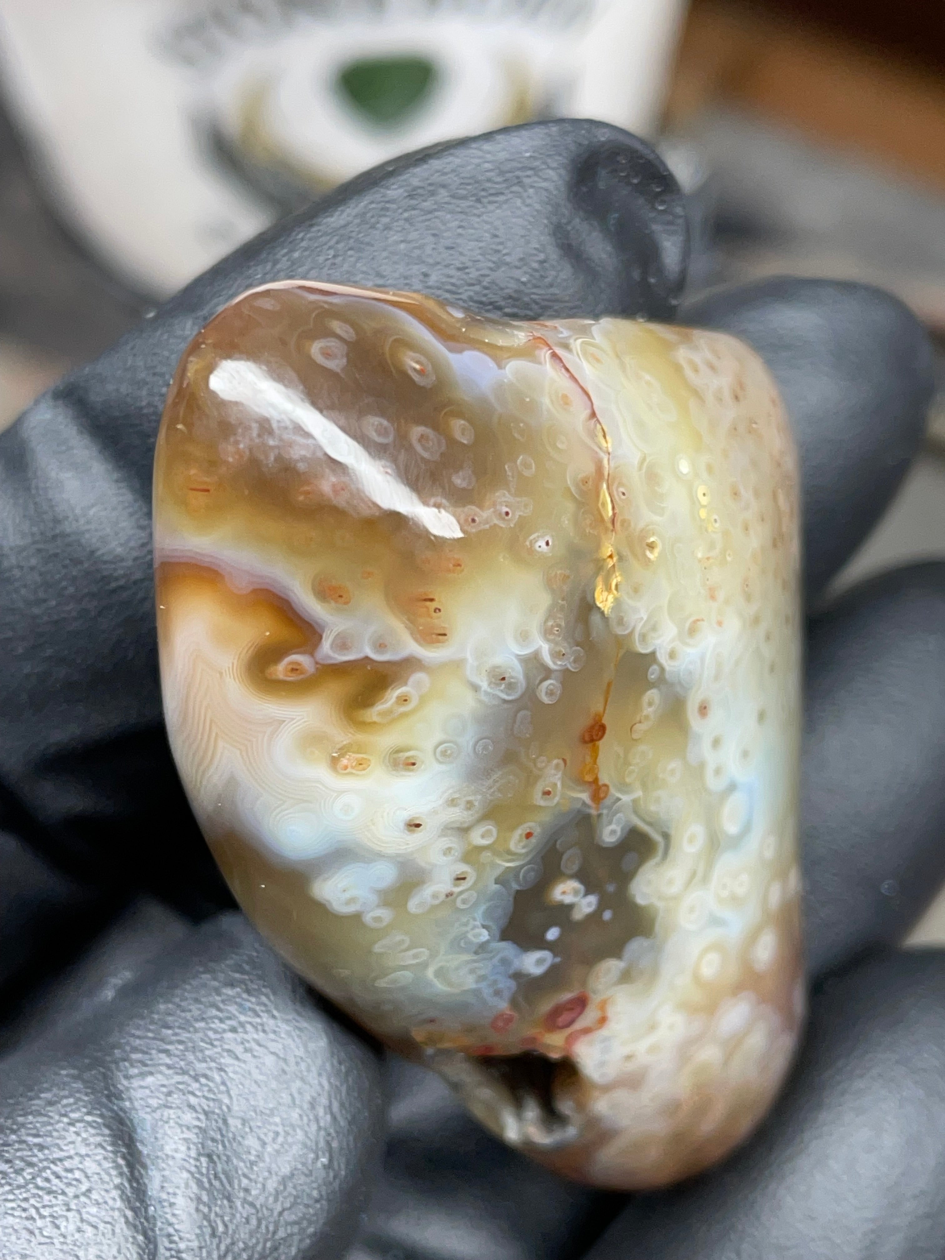 StoneBorn Creations Hand-Polished Botswana Agate – Orbicular “Eye” Patterns with Natural Pocket