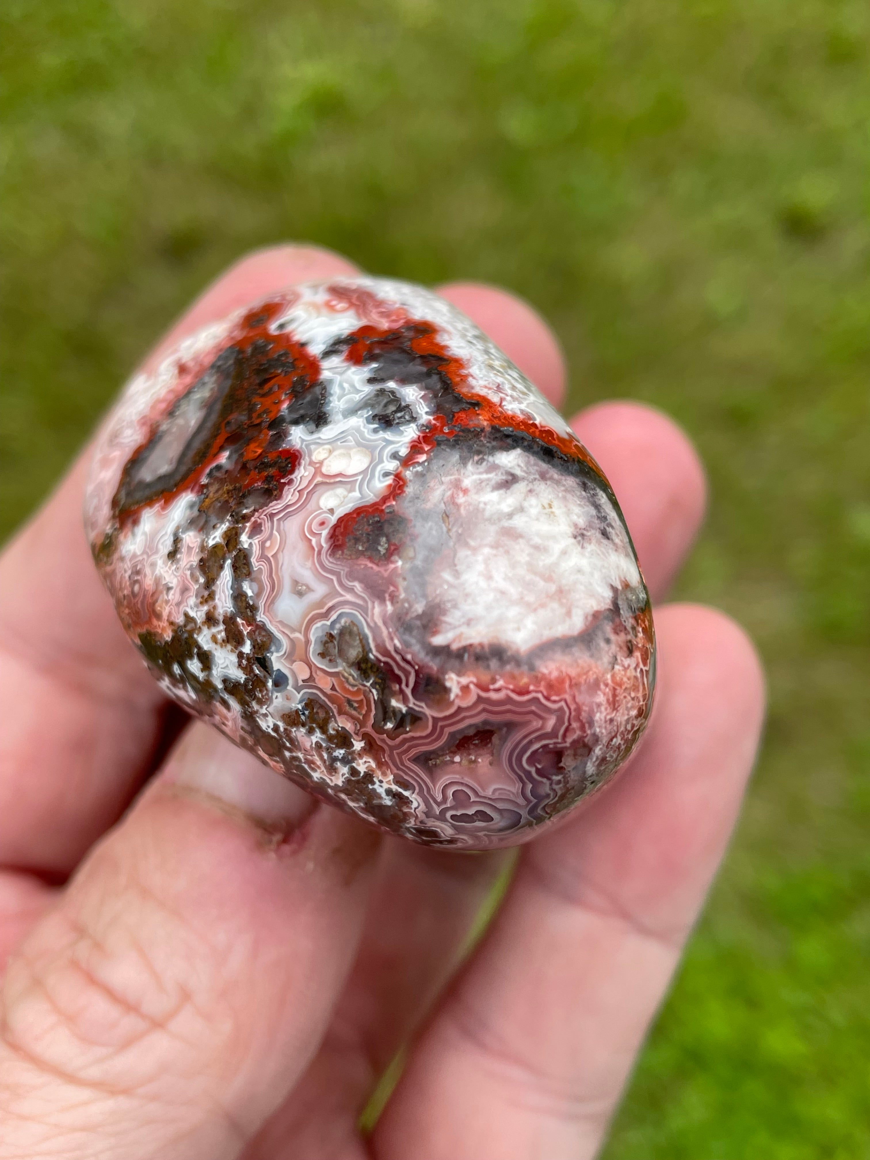 StoneBorn Creations Hand-Polished Lace Agate Freeform with Crimson Fortification Banding, Natural Druzy Cavities, and Intricate Orbicular Patterns