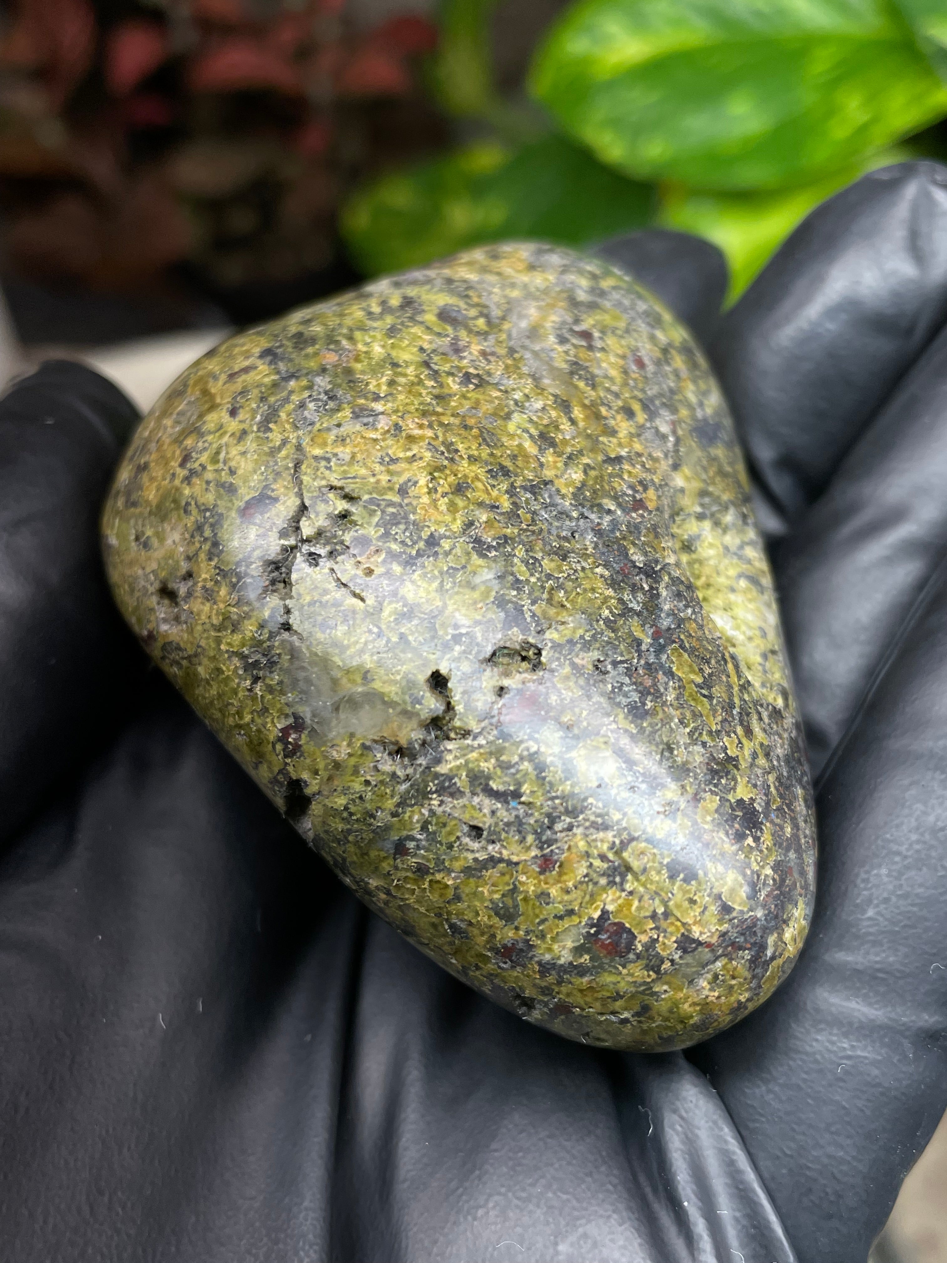 StoneBorn Creations Hand-Polished Vermont Serpentine with Garnet Flecking, Quartz Pockets, and Deep Olive Green Matrix Freeform Finish