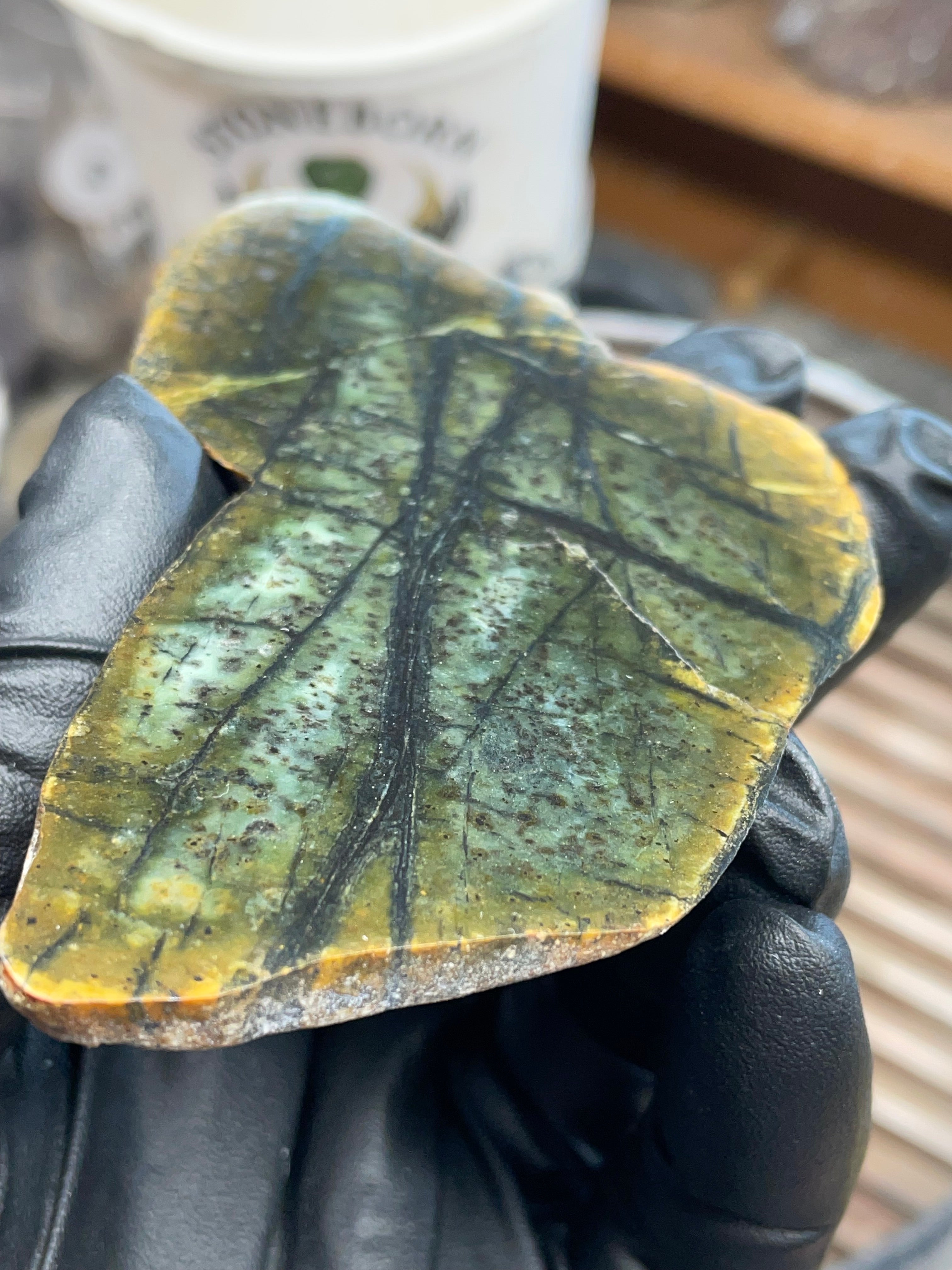 Hand-Collected Veined Serpentine Slab | Raw & Refined StoneBorn Specimen